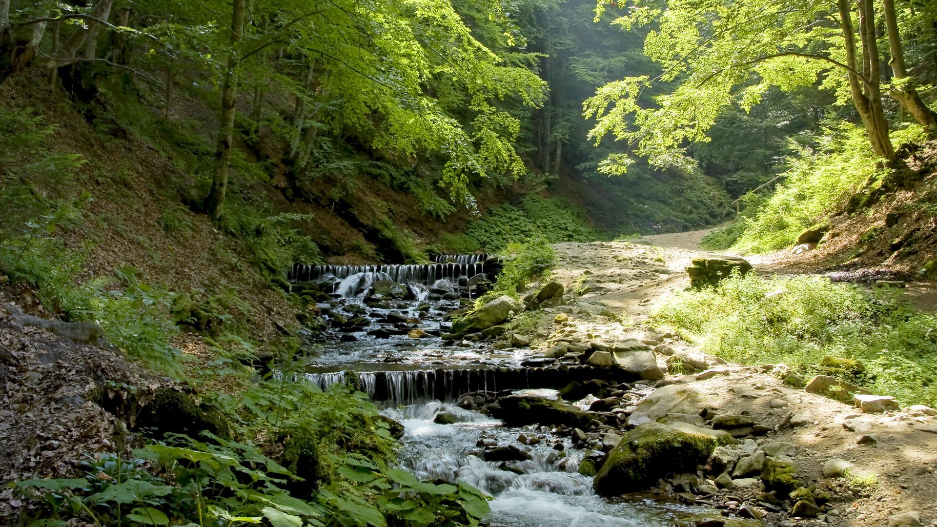 A forest stream with cascading waterfalls and a dirt path HD Wallpaper