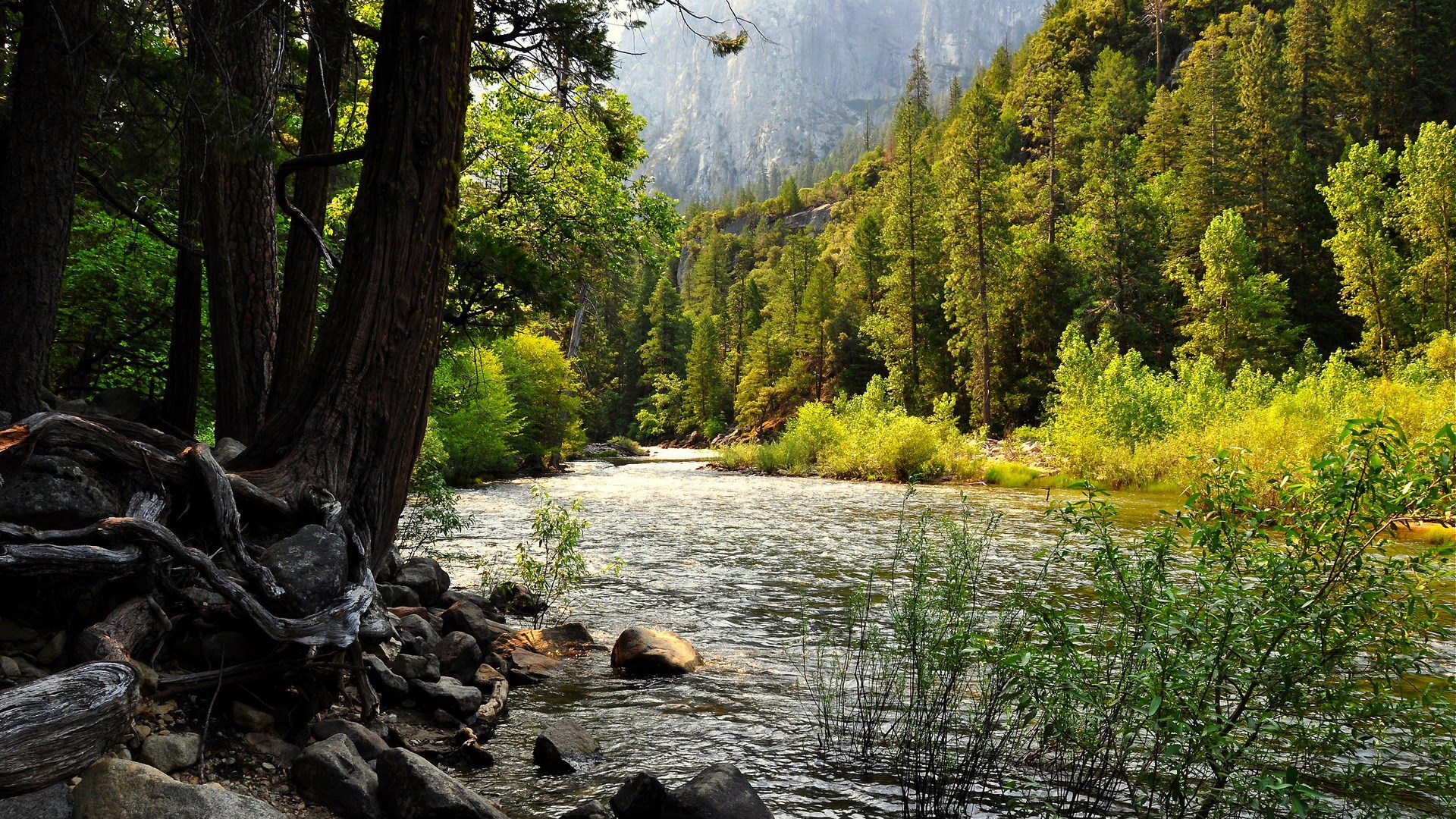 River flowing through a forest with a mountain in the background HD Wallpaper