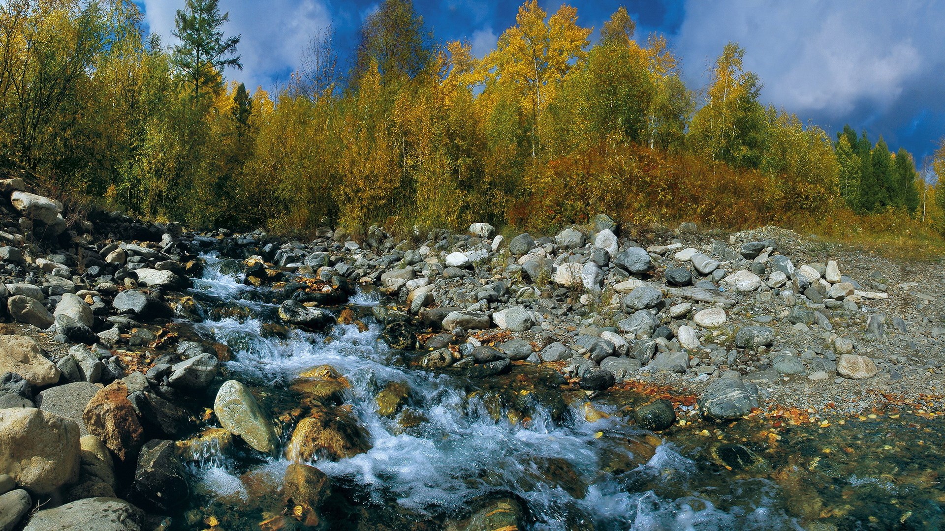 Rocky stream flowing through autumn forest HD Wallpaper