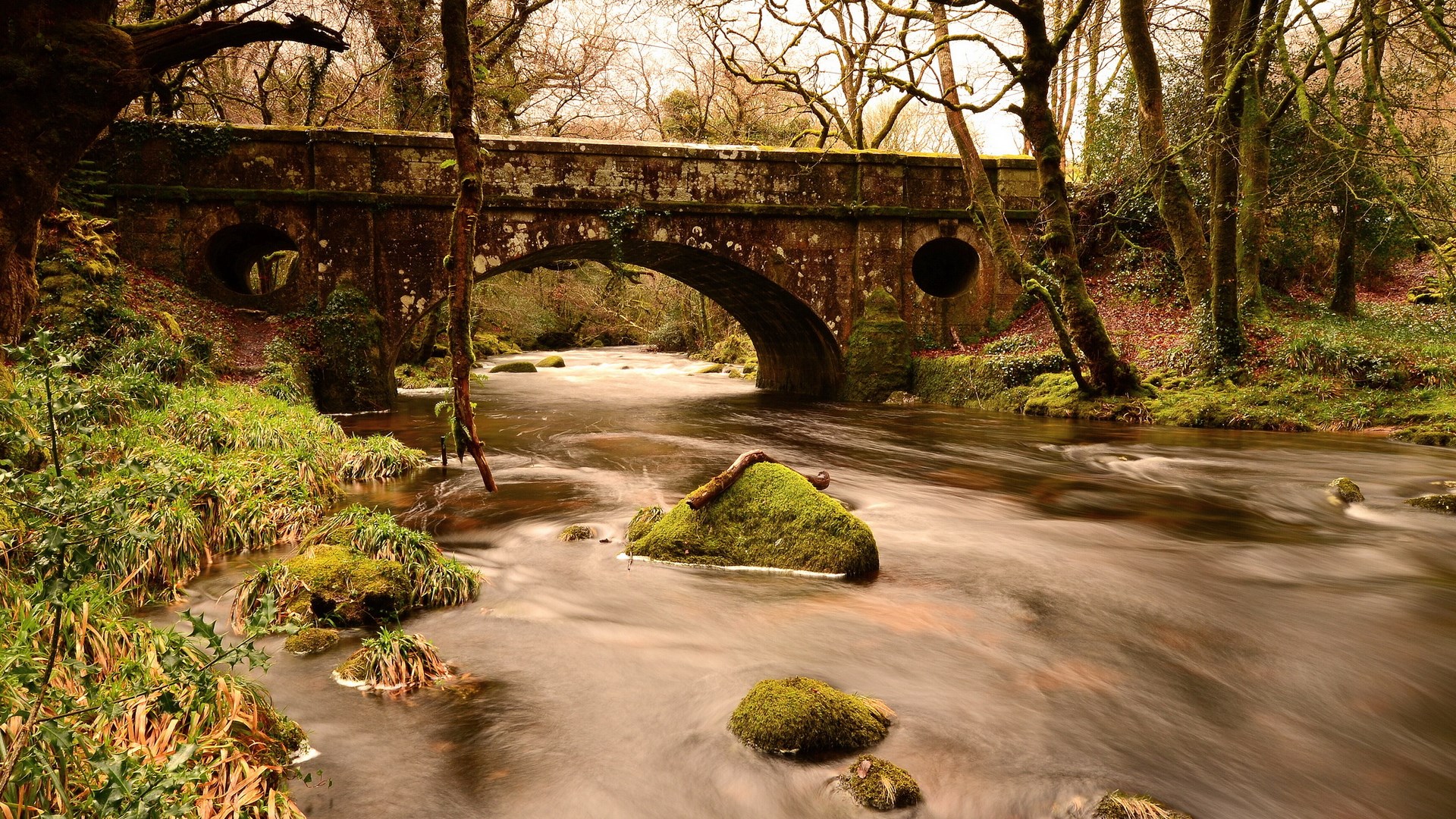 Stone bridge over a flowing river in a forest HD Wallpaper