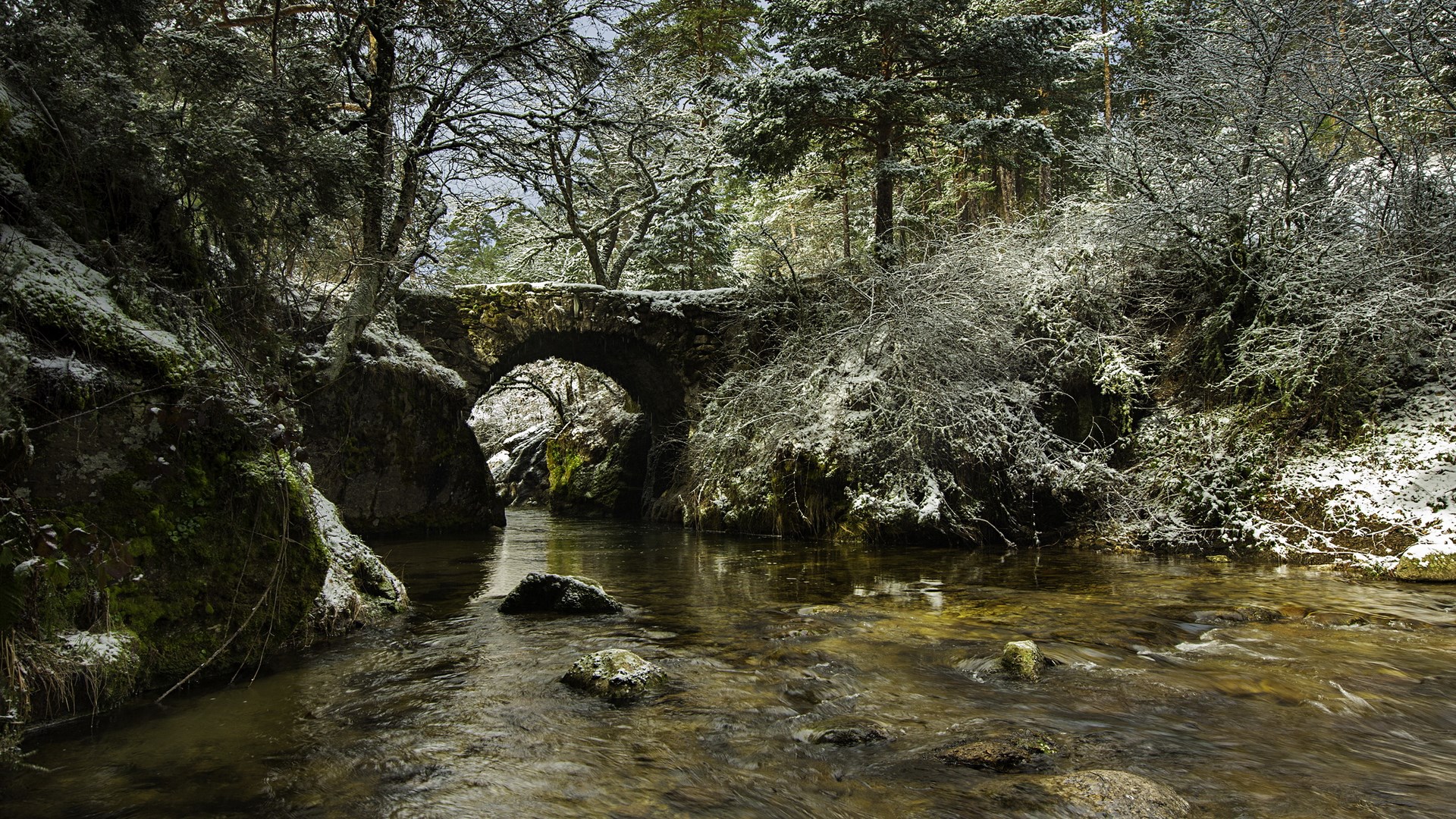 Stone bridge over a stream in a snowy forest HD Wallpaper