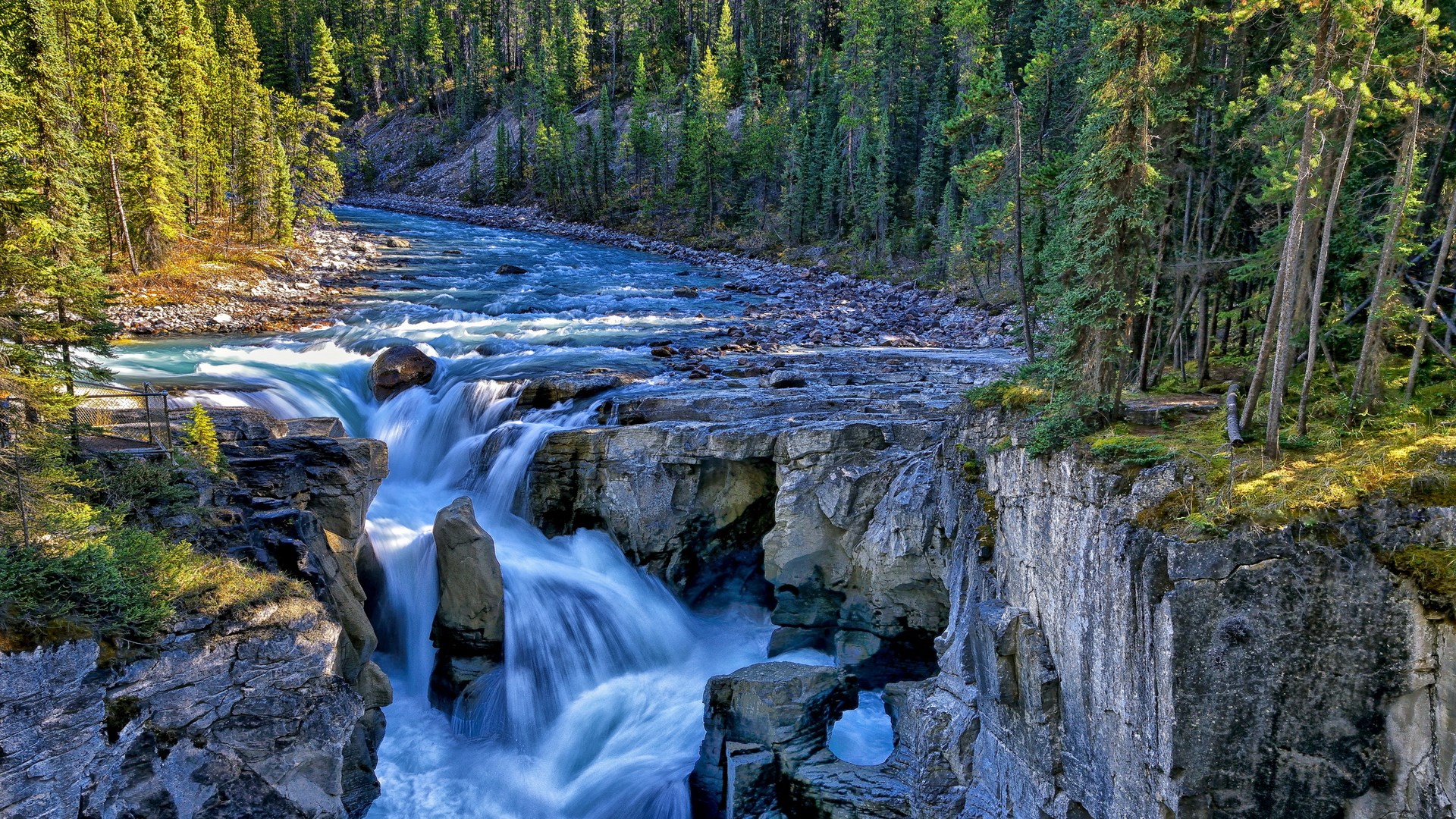 Waterfall in a Forested Canyon HD Wallpaper