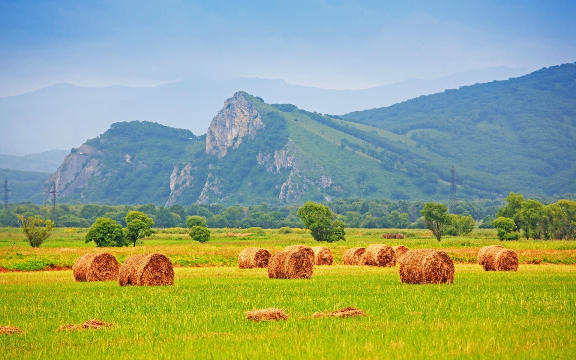 Hay bales in a field with mountains HD Wallpaper