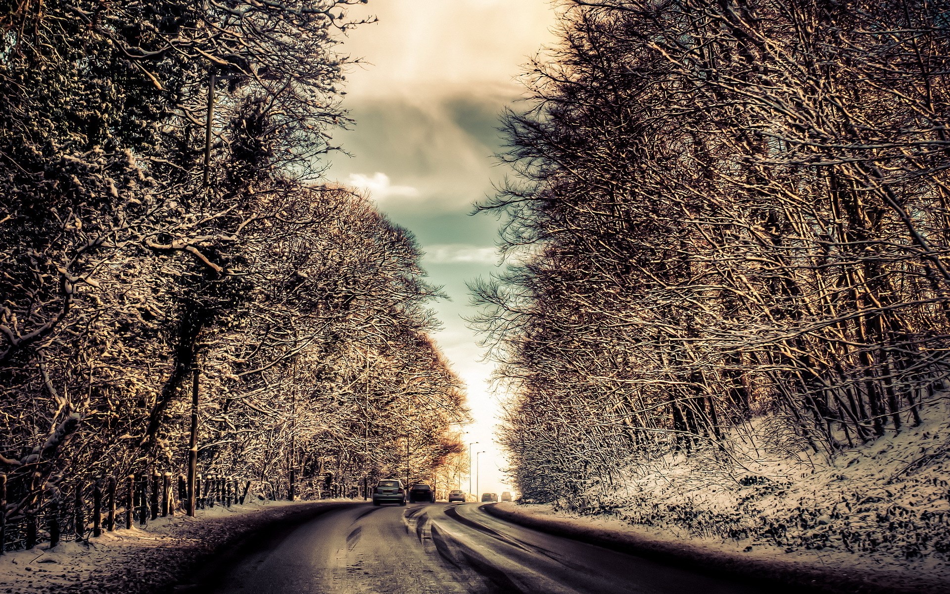 Cars on a snowy road lined with trees HD Wallpaper