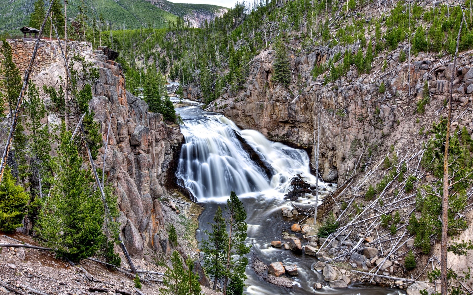 Gibbon Falls in Yellowstone National Park HD Wallpaper