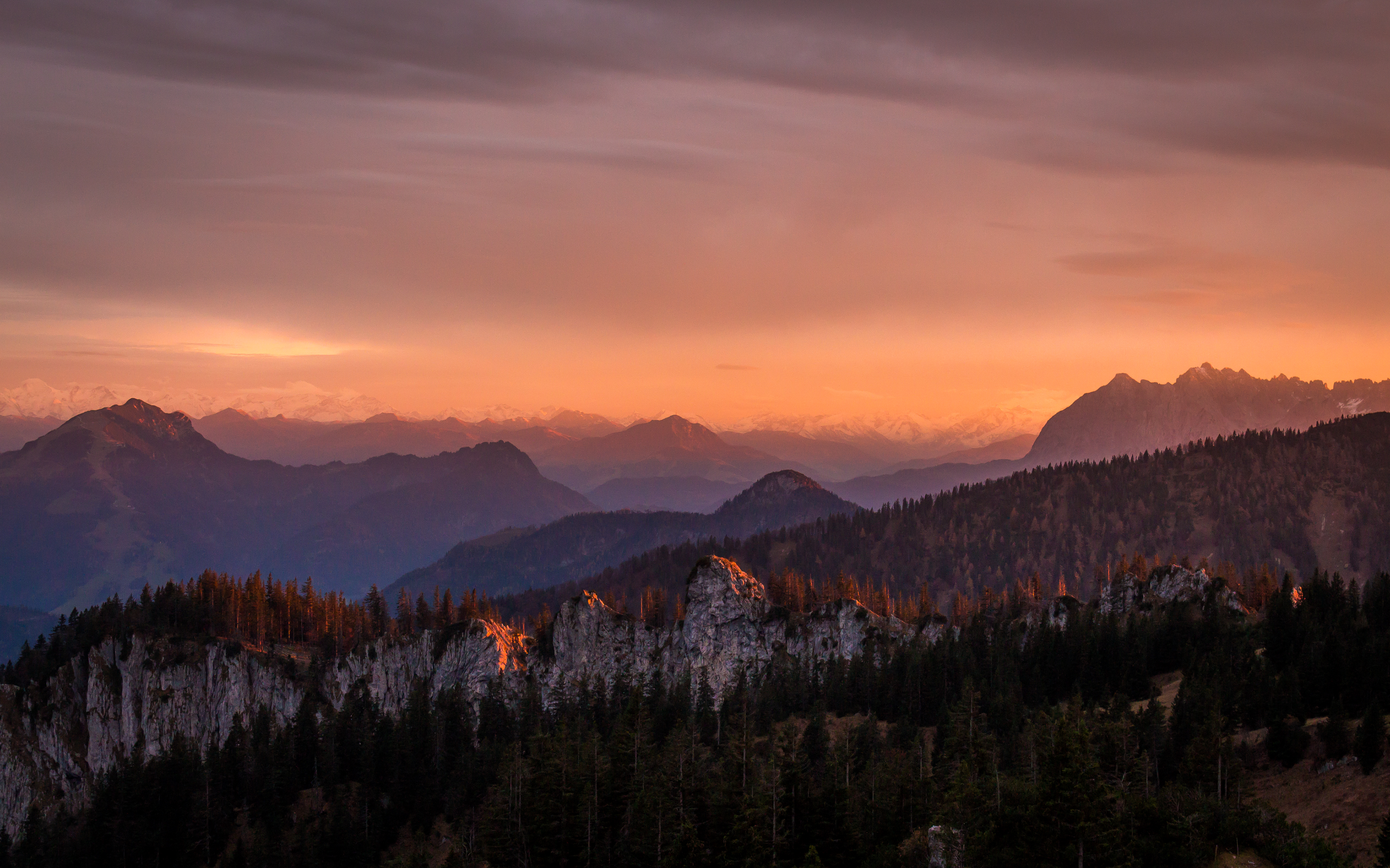 Sunset over mountain ranges with pine forest HD Wallpaper