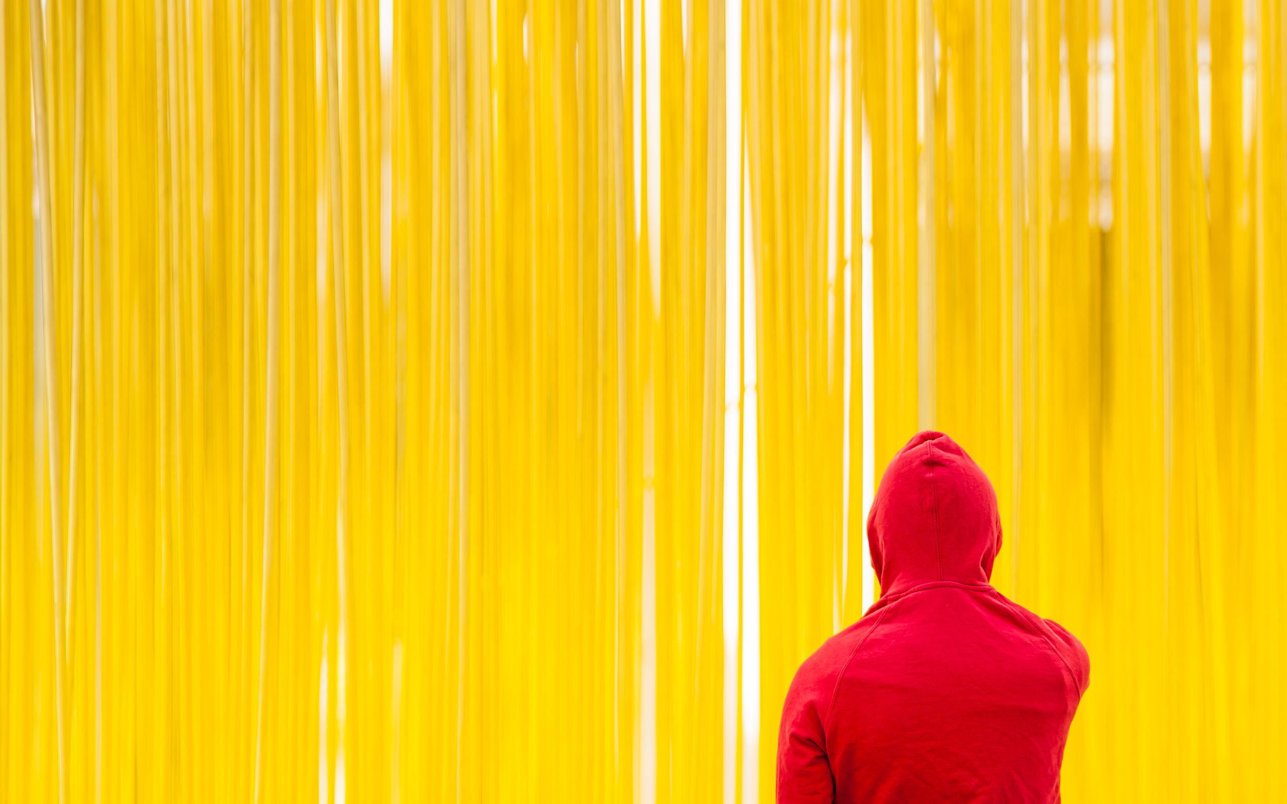 Person in red hoodie against yellow background HD Wallpaper