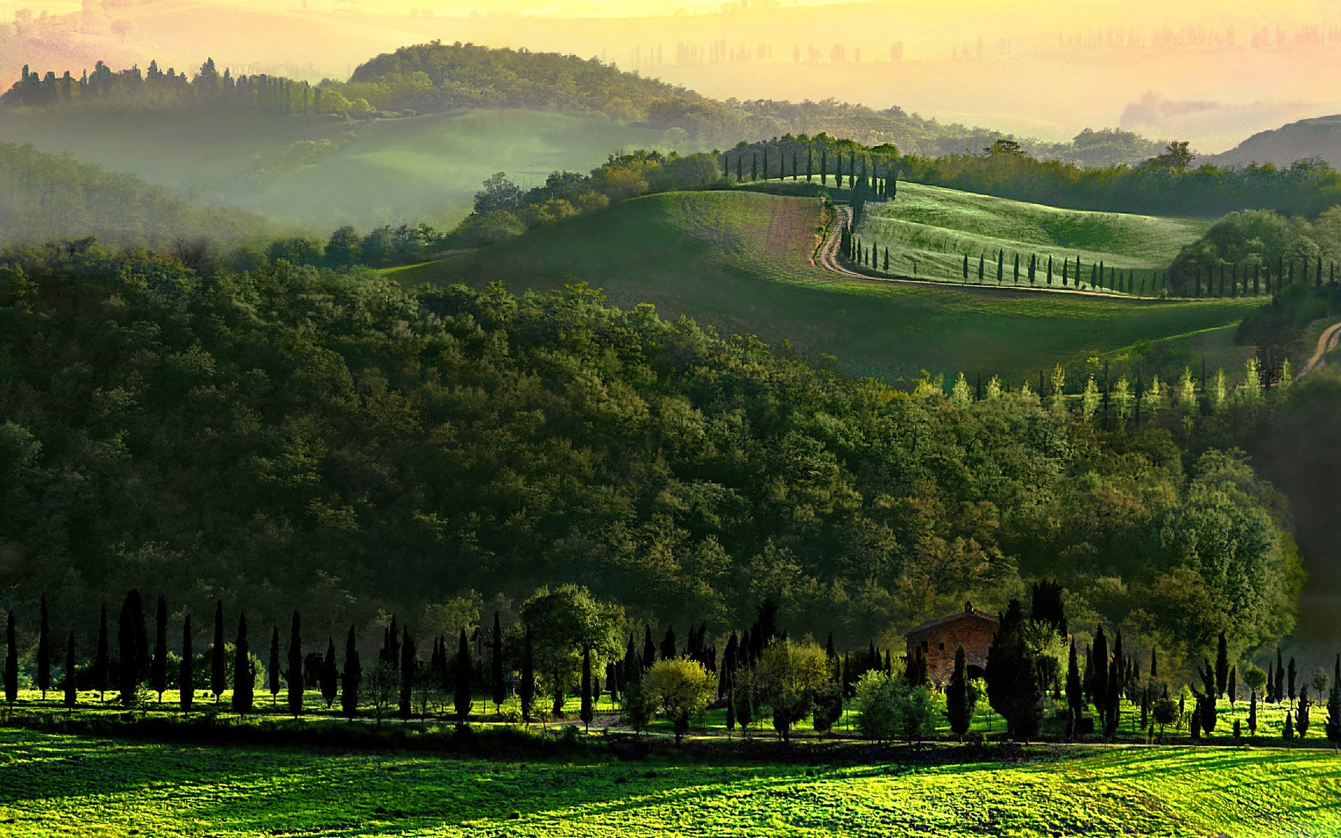 Tuscan landscape with cypress trees and rolling hills HD Wallpaper