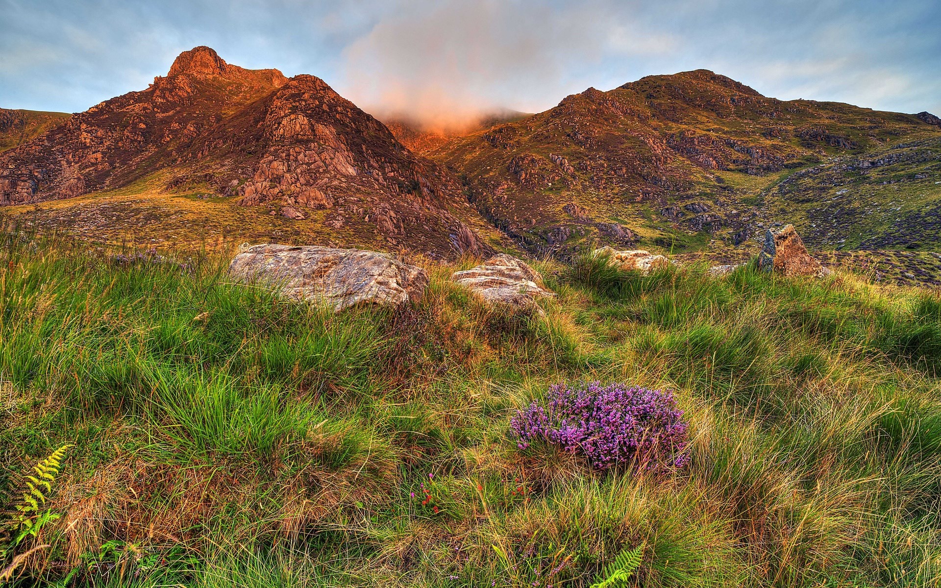 Mountain landscape with heather and rocks HD Wallpaper