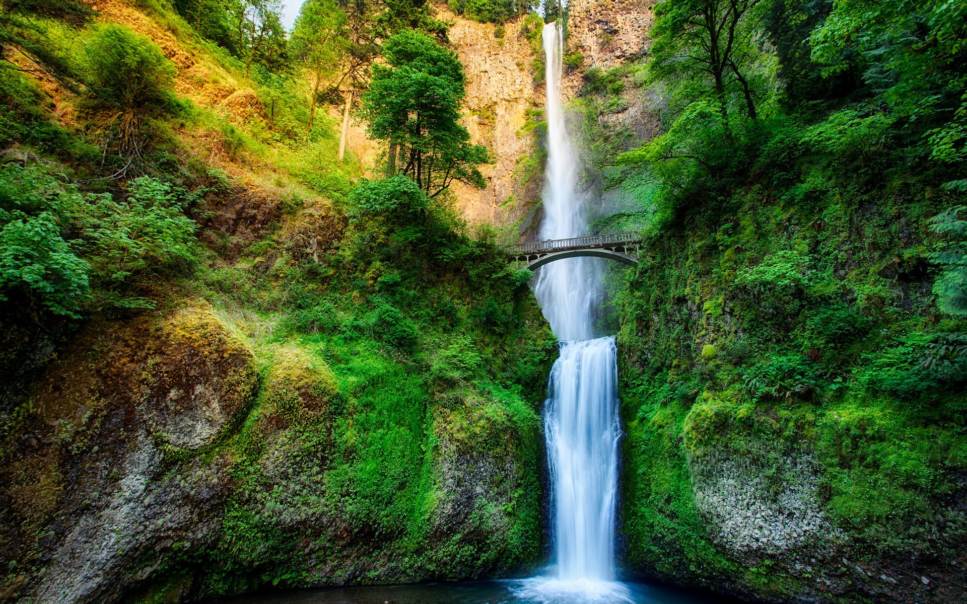 Multnomah Falls in Oregon HD Wallpaper