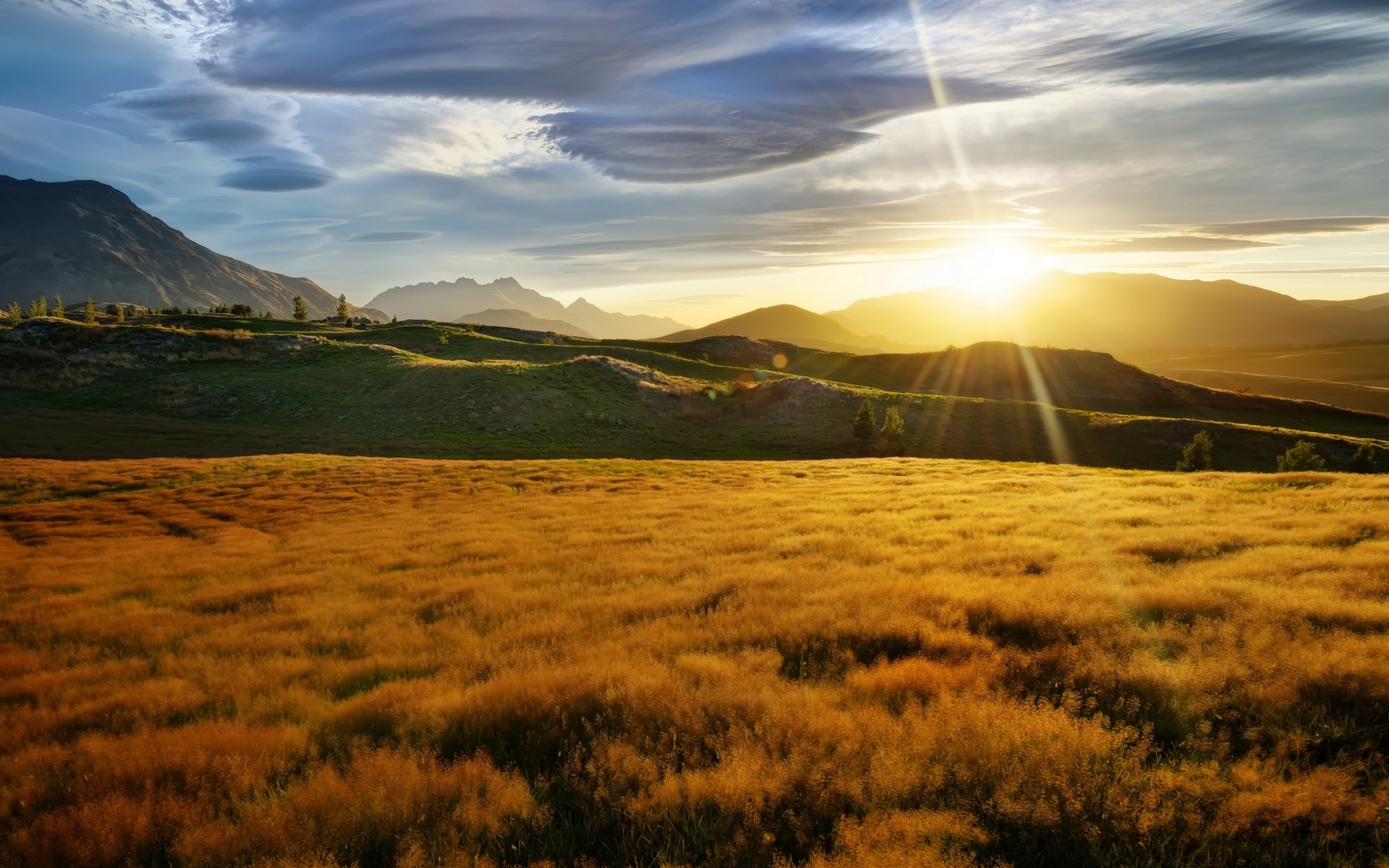 Golden field and rolling hills at sunset HD Wallpaper