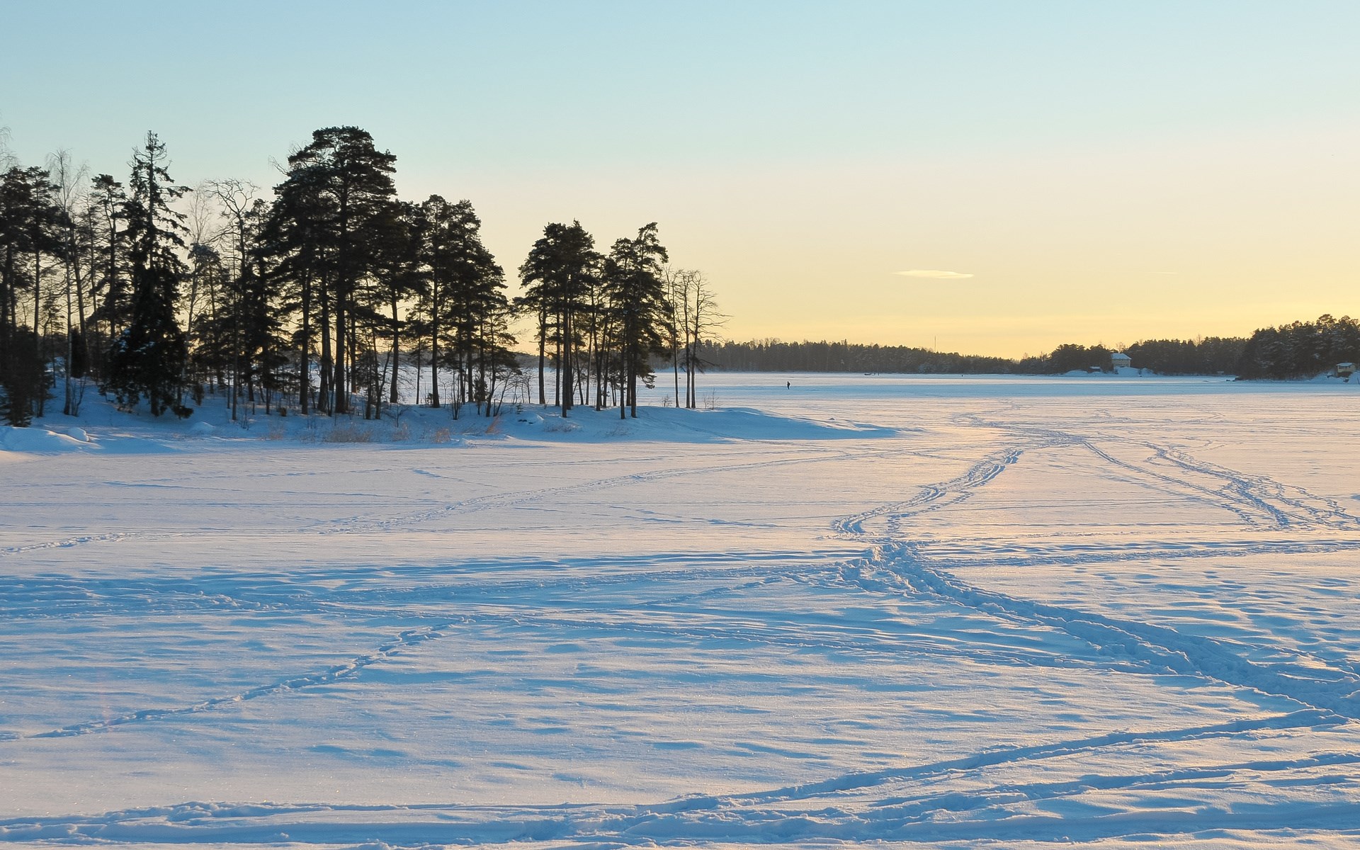 Snowy landscape with trees and tracks HD Wallpaper