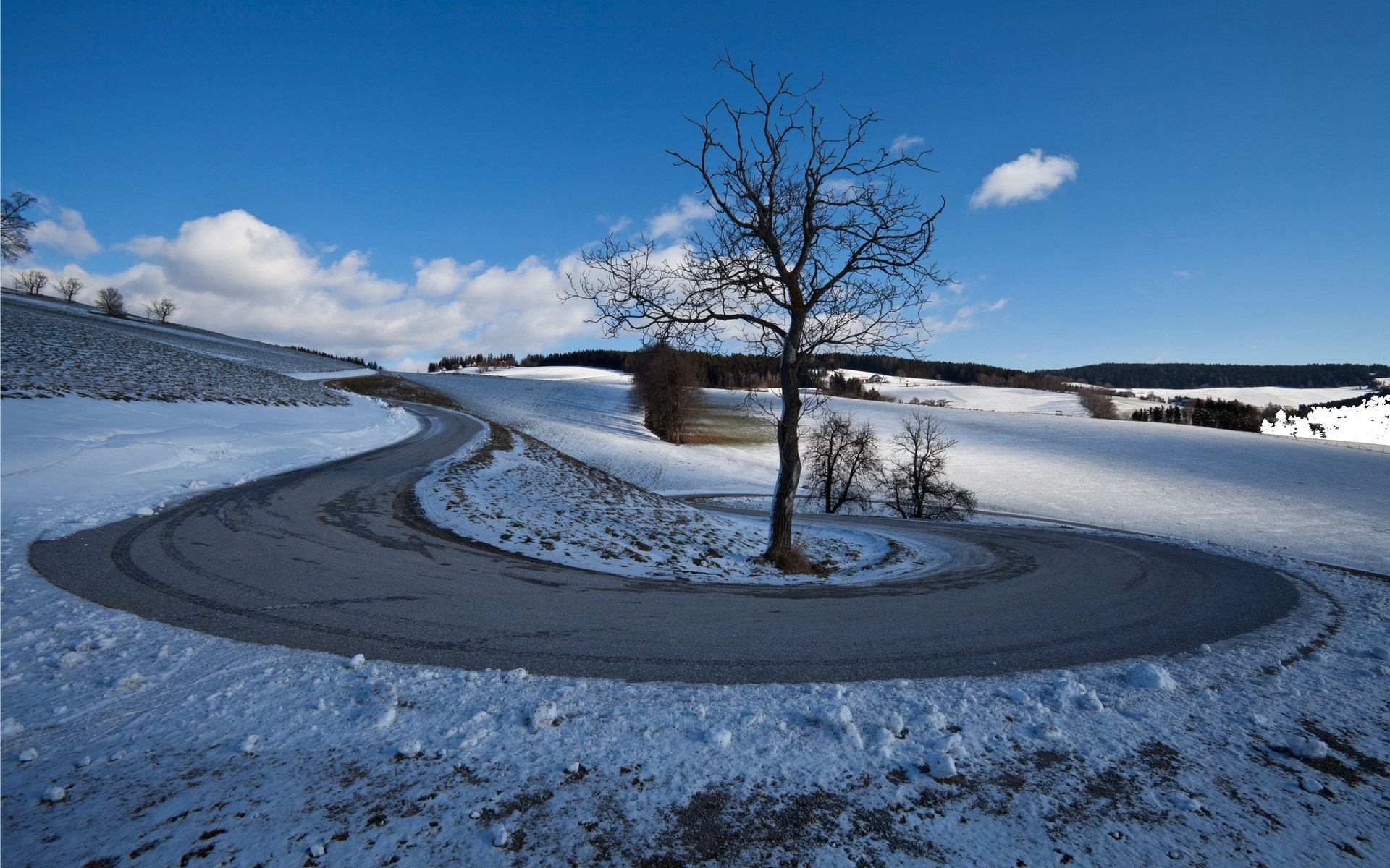Winding road through snowy landscape with bare tree HD Wallpaper