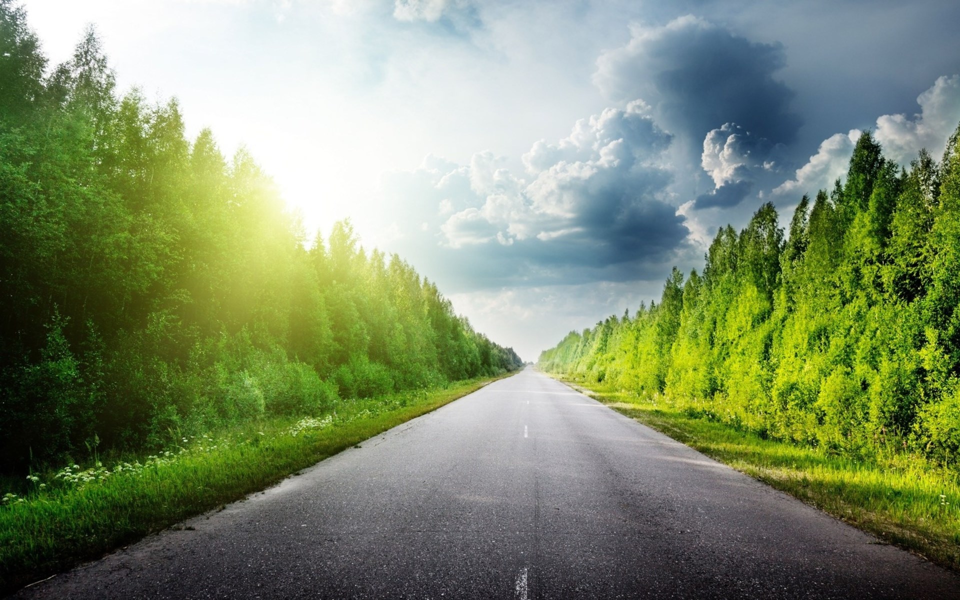 Empty road through a forest with sun and clouds HD Wallpaper