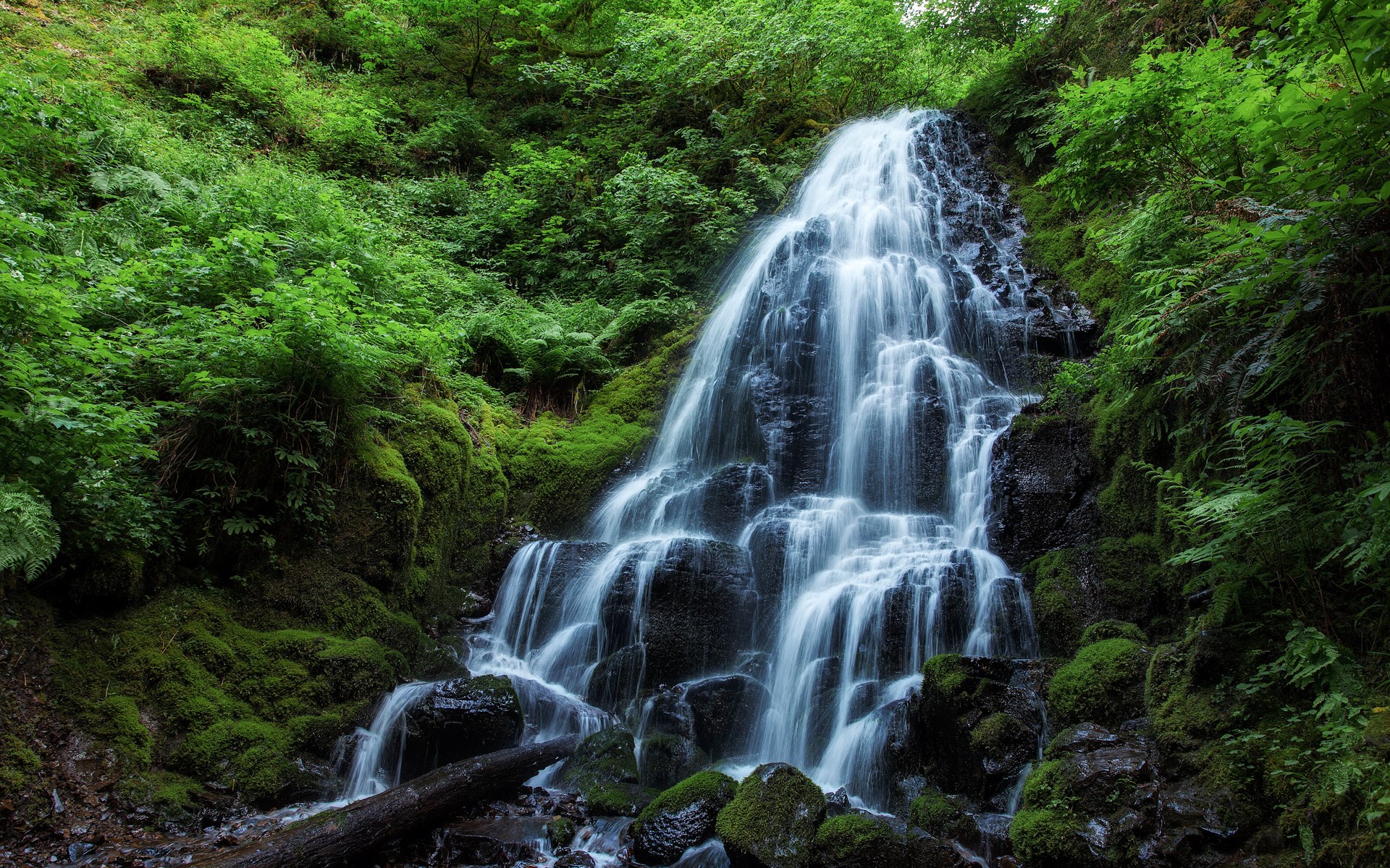 Waterfall cascading down a mossy cliff face HD Wallpaper