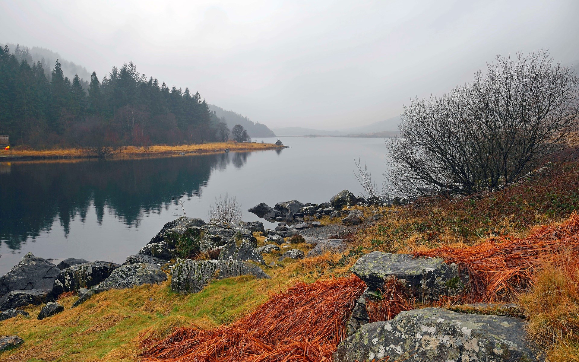 Misty lake with forest and rocky shore HD Wallpaper
