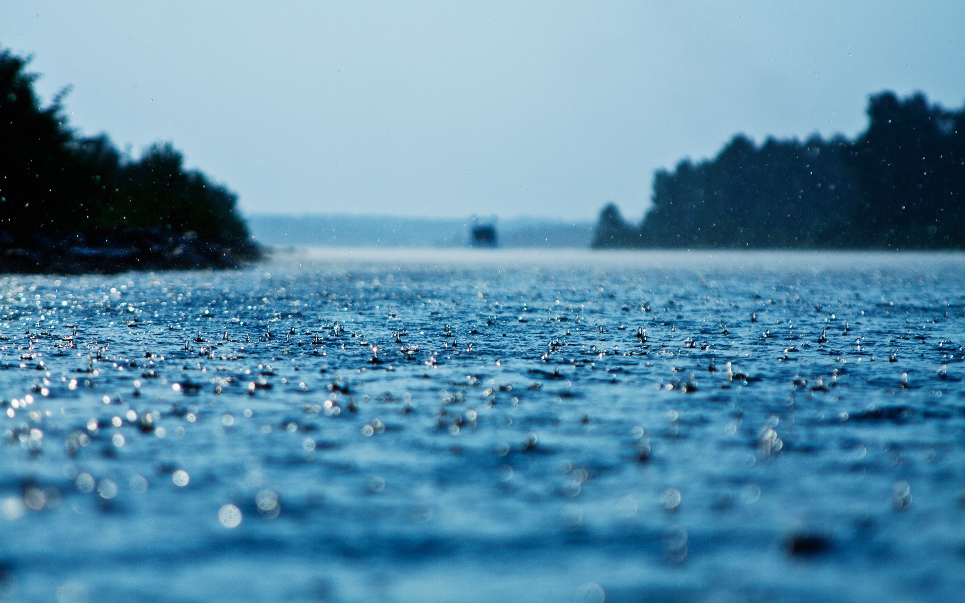 Rain falling on a lake with trees in the background HD Wallpaper