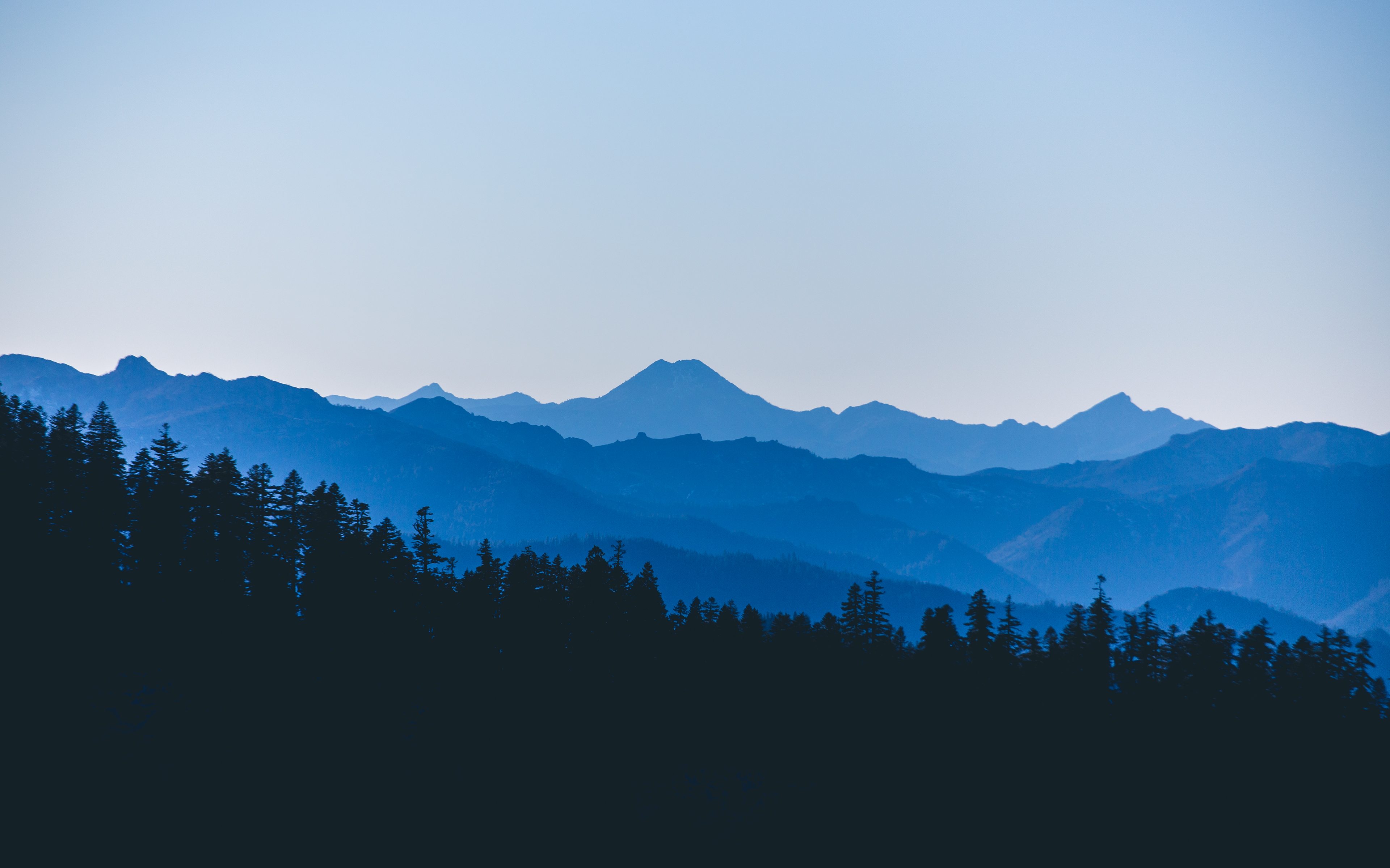 Blue mountain ranges with pine forest silhouette HD Wallpaper