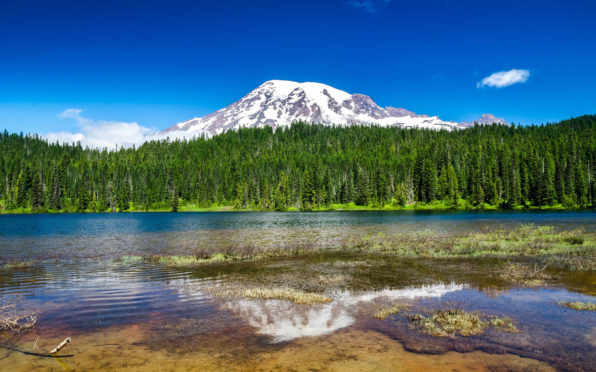 Mount Rainier reflected in a lake with evergreen forest HD Wallpaper