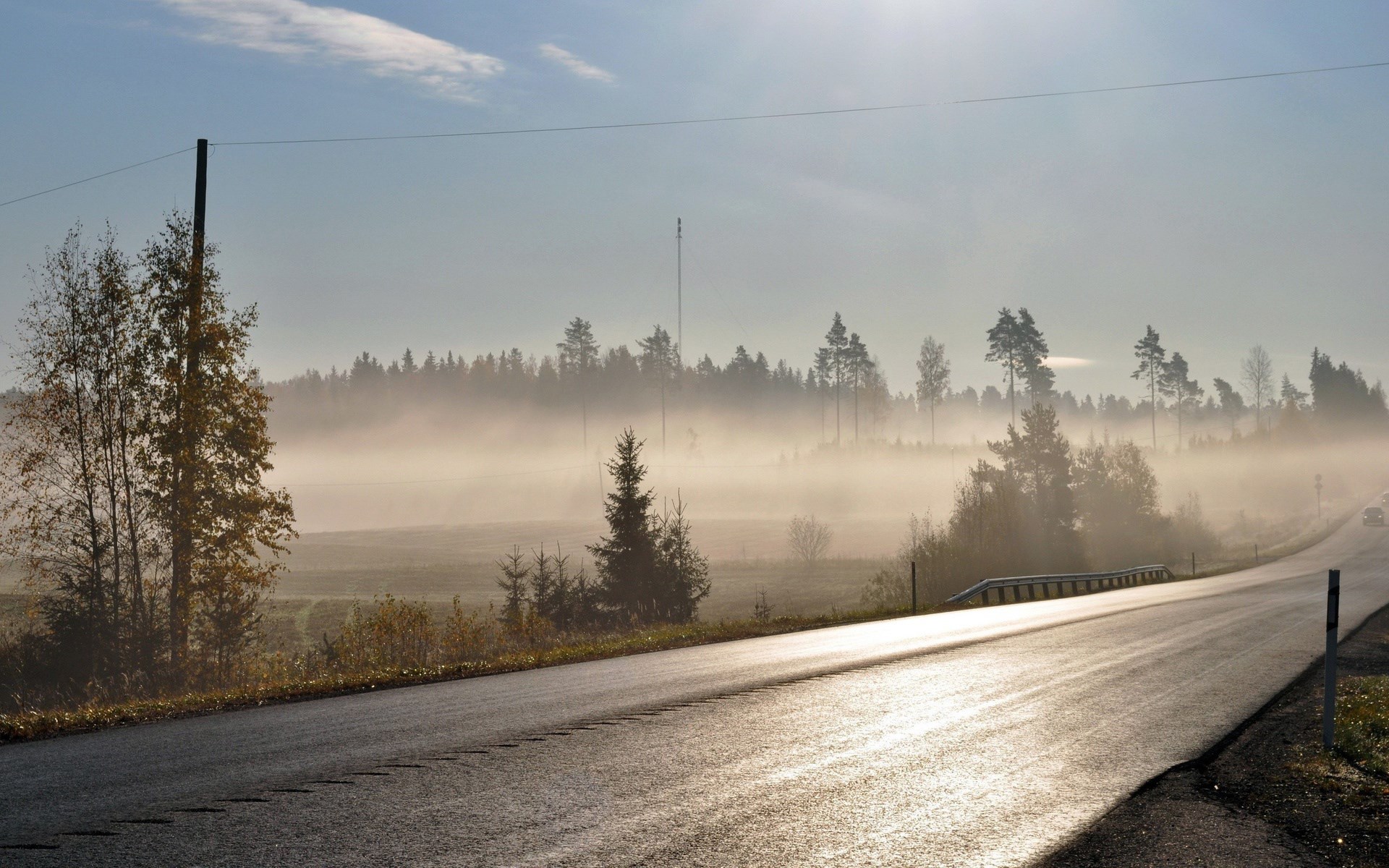 Road through foggy forest with sunlit asphalt HD Wallpaper