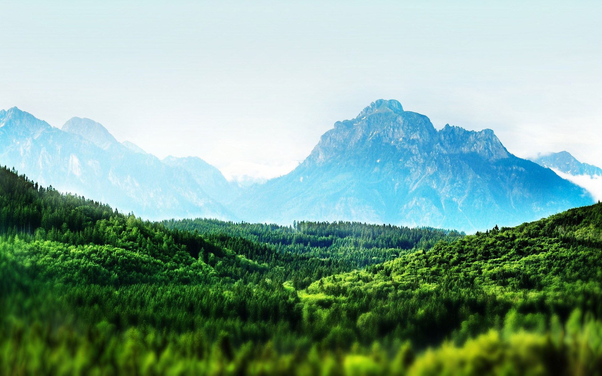 Green forest valley with blue mountains in the background HD Wallpaper