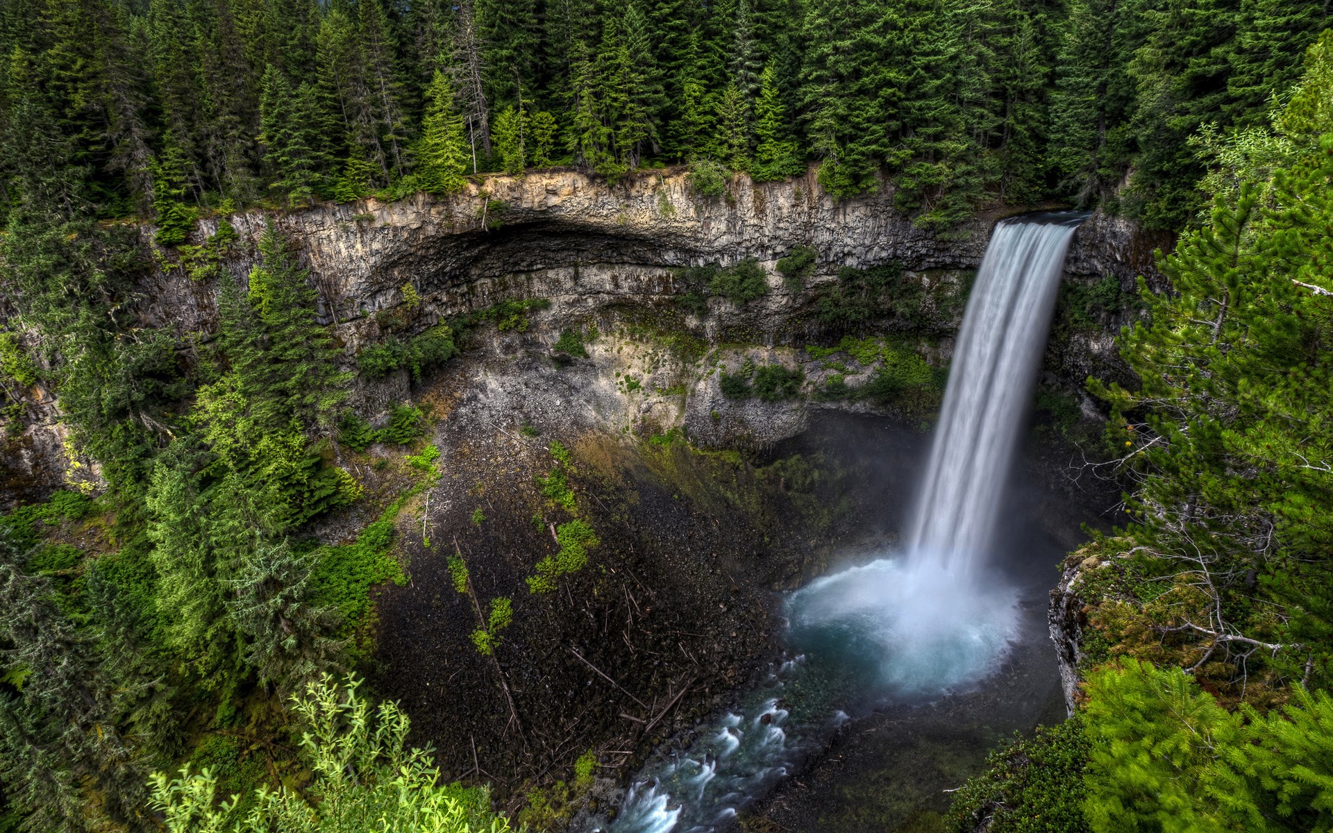 Waterfall cascading into a pool surrounded by forest HD Wallpaper