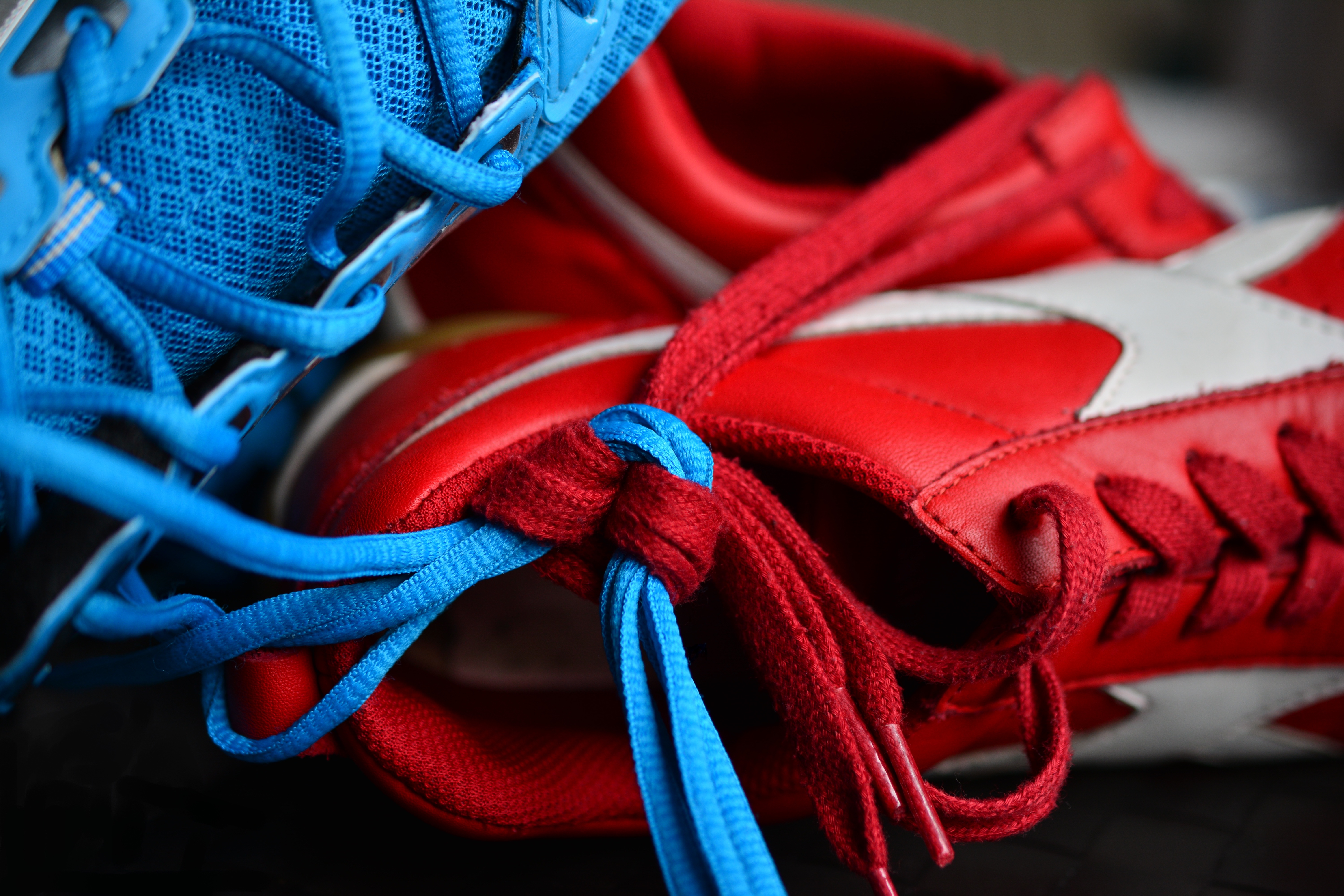 Red and blue sneakers with tied laces HD Wallpaper