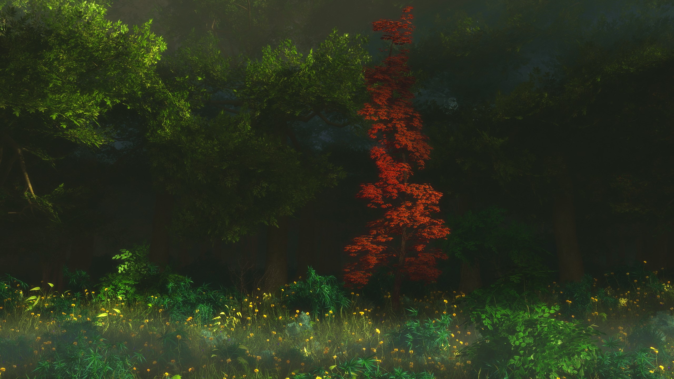 Red tree in a misty forest with yellow flowers HD Wallpaper