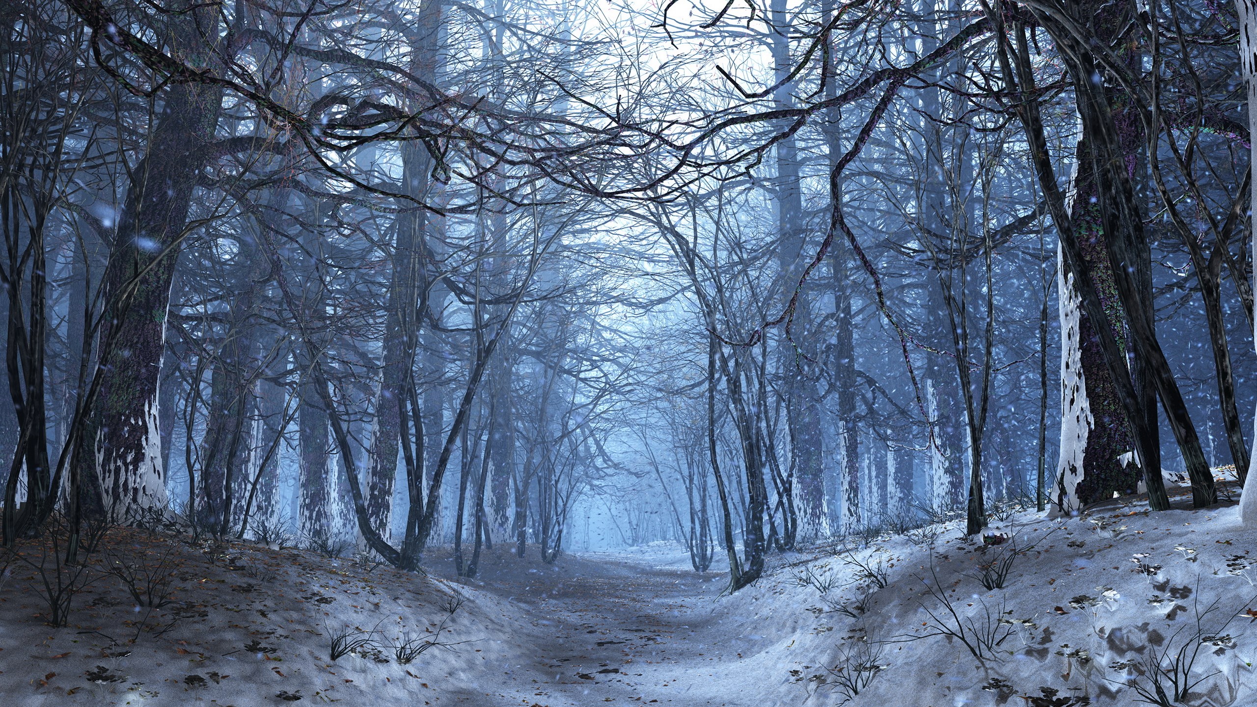 Snowy forest path with bare trees HD Wallpaper