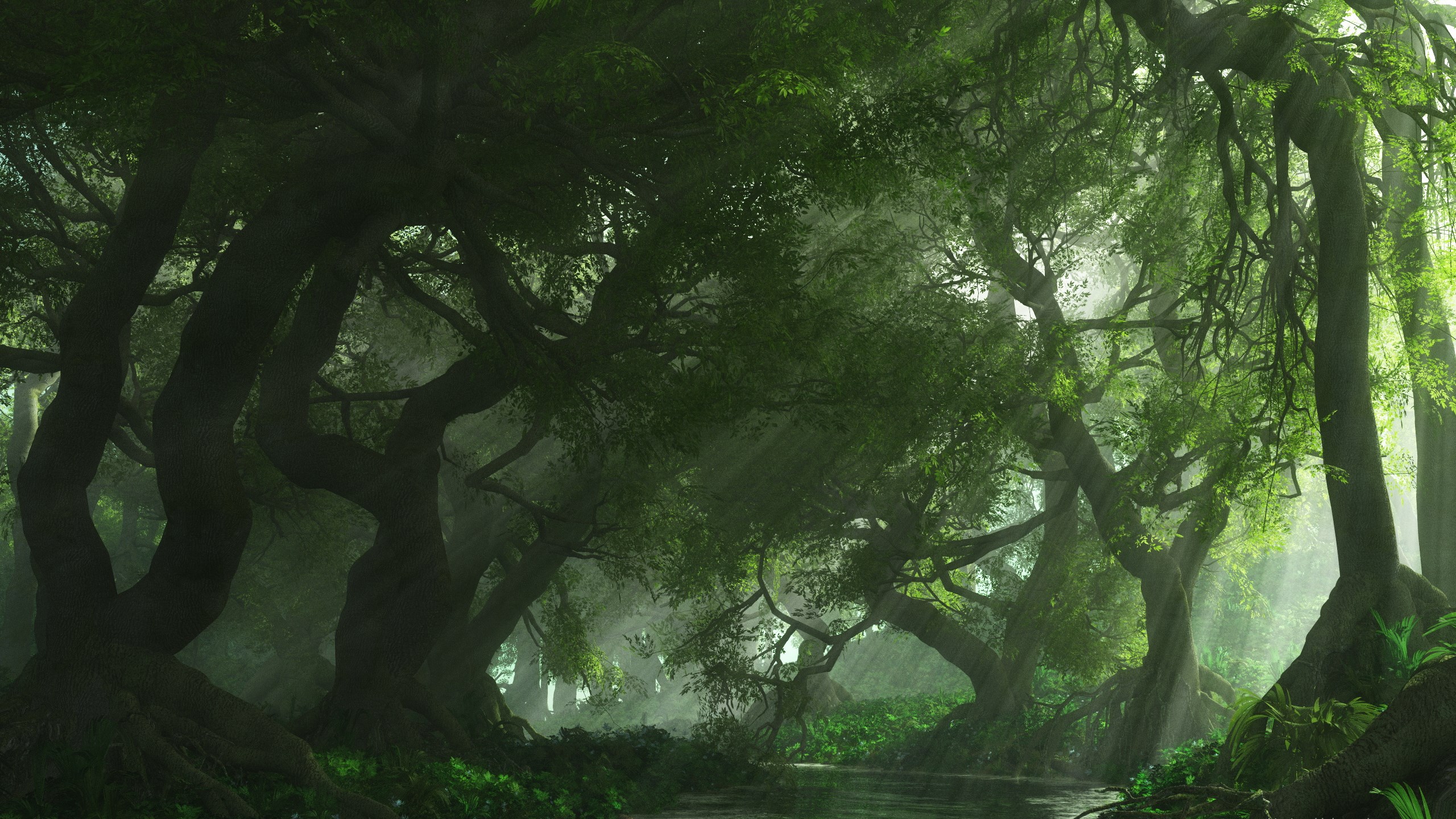 Sunlight filtering through a dense, green forest with a river HD Wallpaper