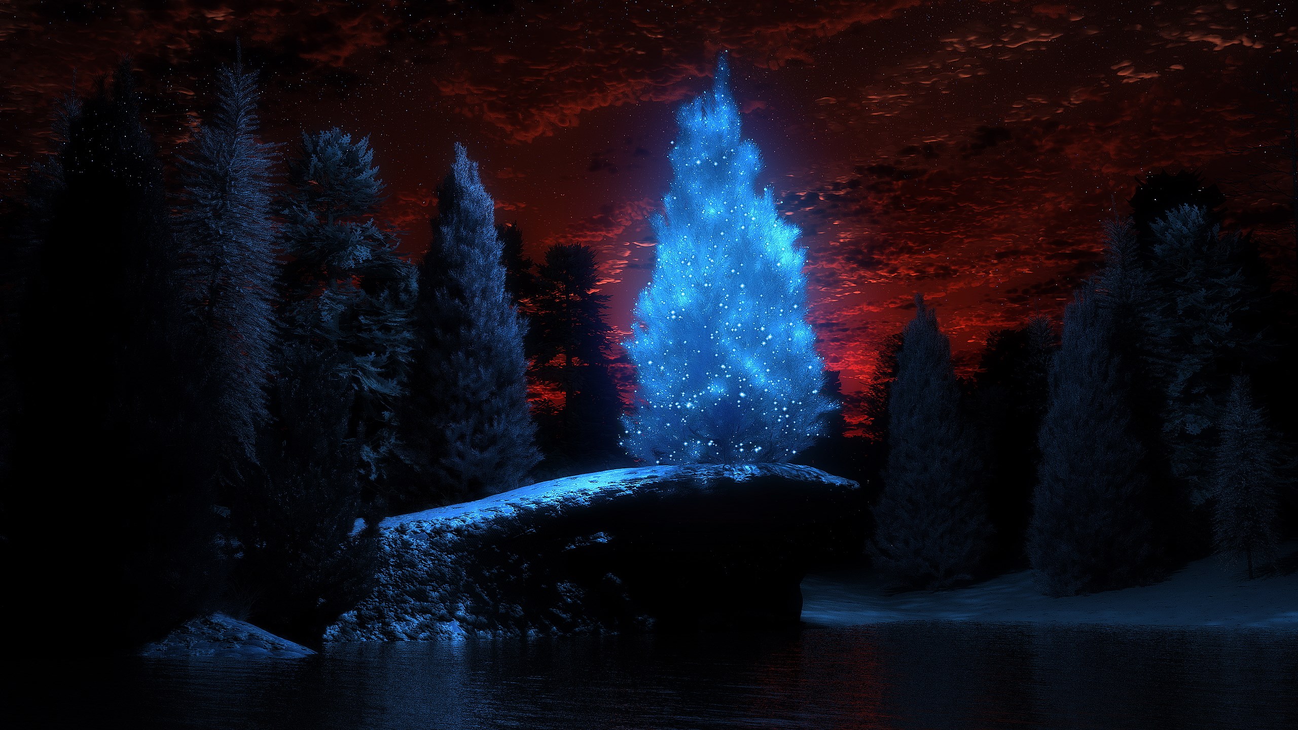 Glowing blue Christmas tree in a dark forest HD Wallpaper