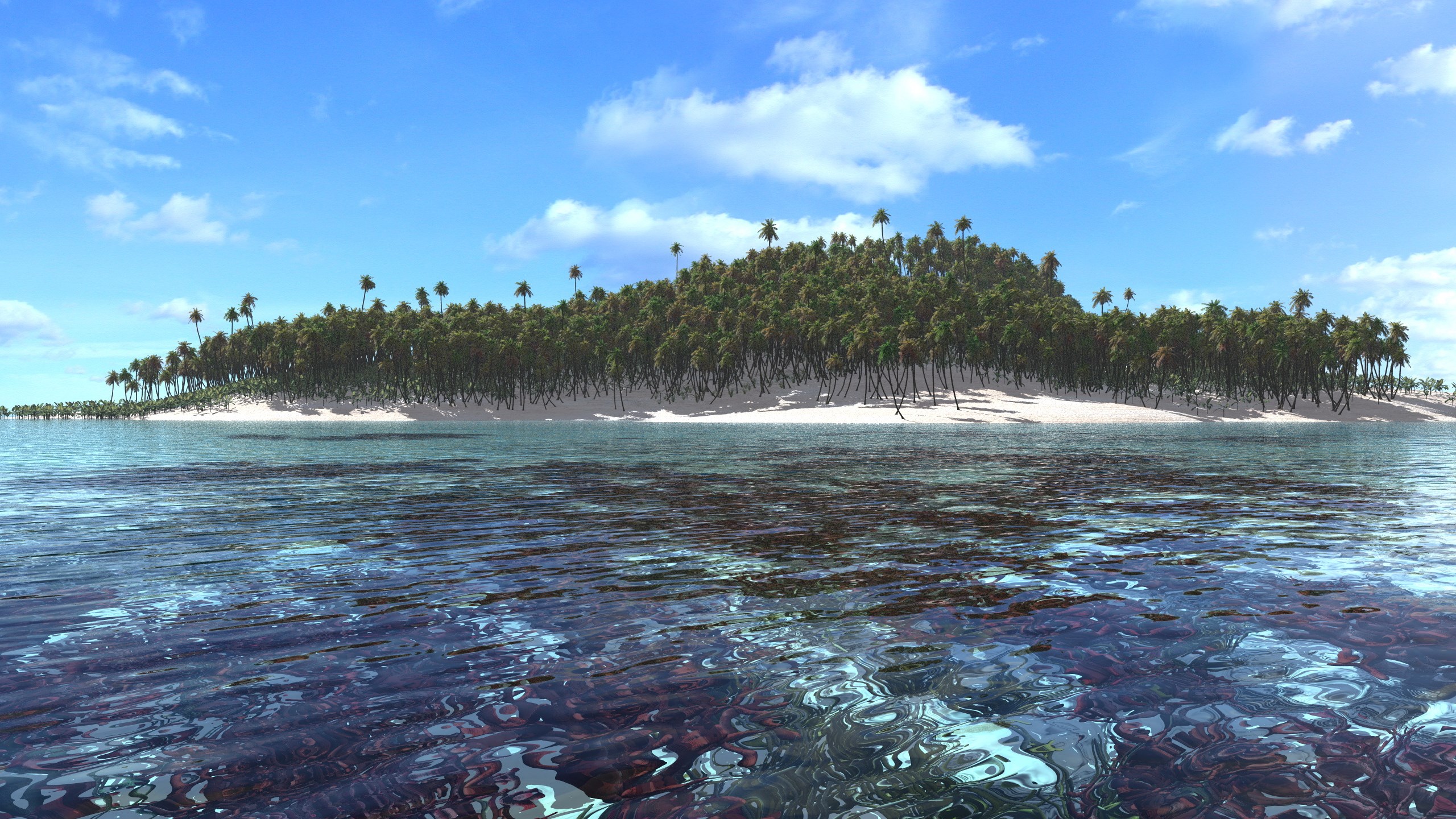 Tropical island with palm trees and clear ocean water HD Wallpaper