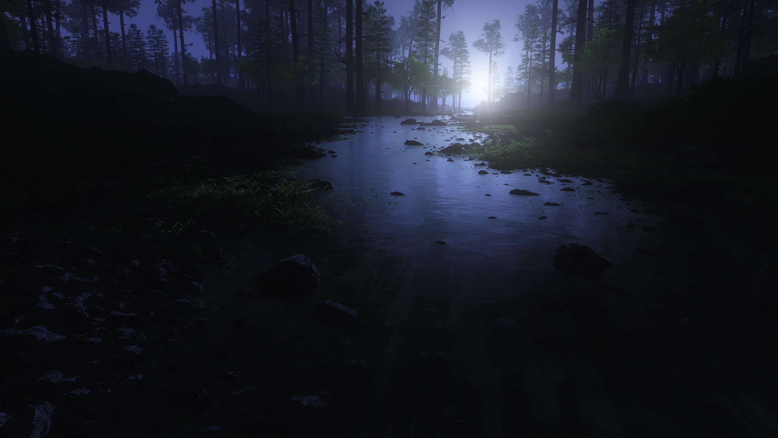 Misty forest with a stream at night HD Wallpaper