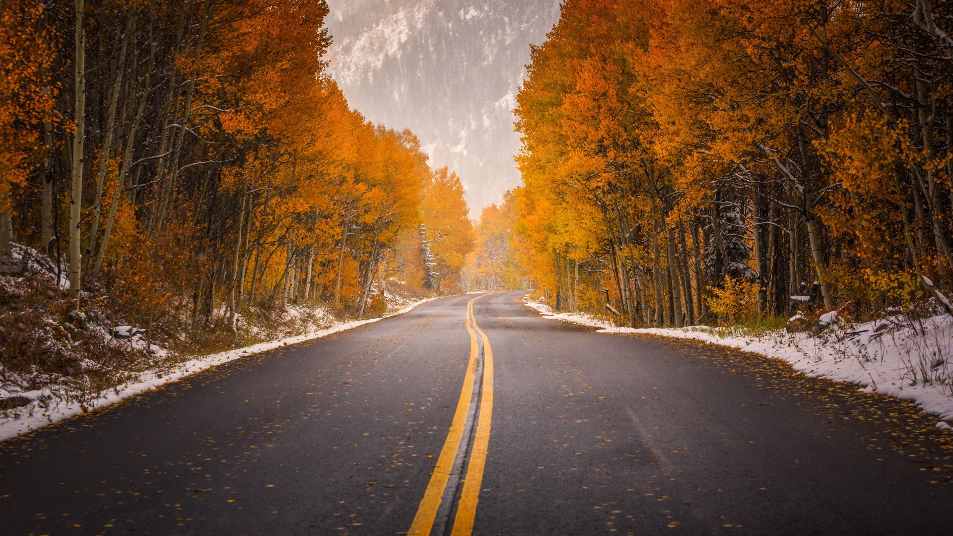 Road through autumn forest with snow HD Wallpaper