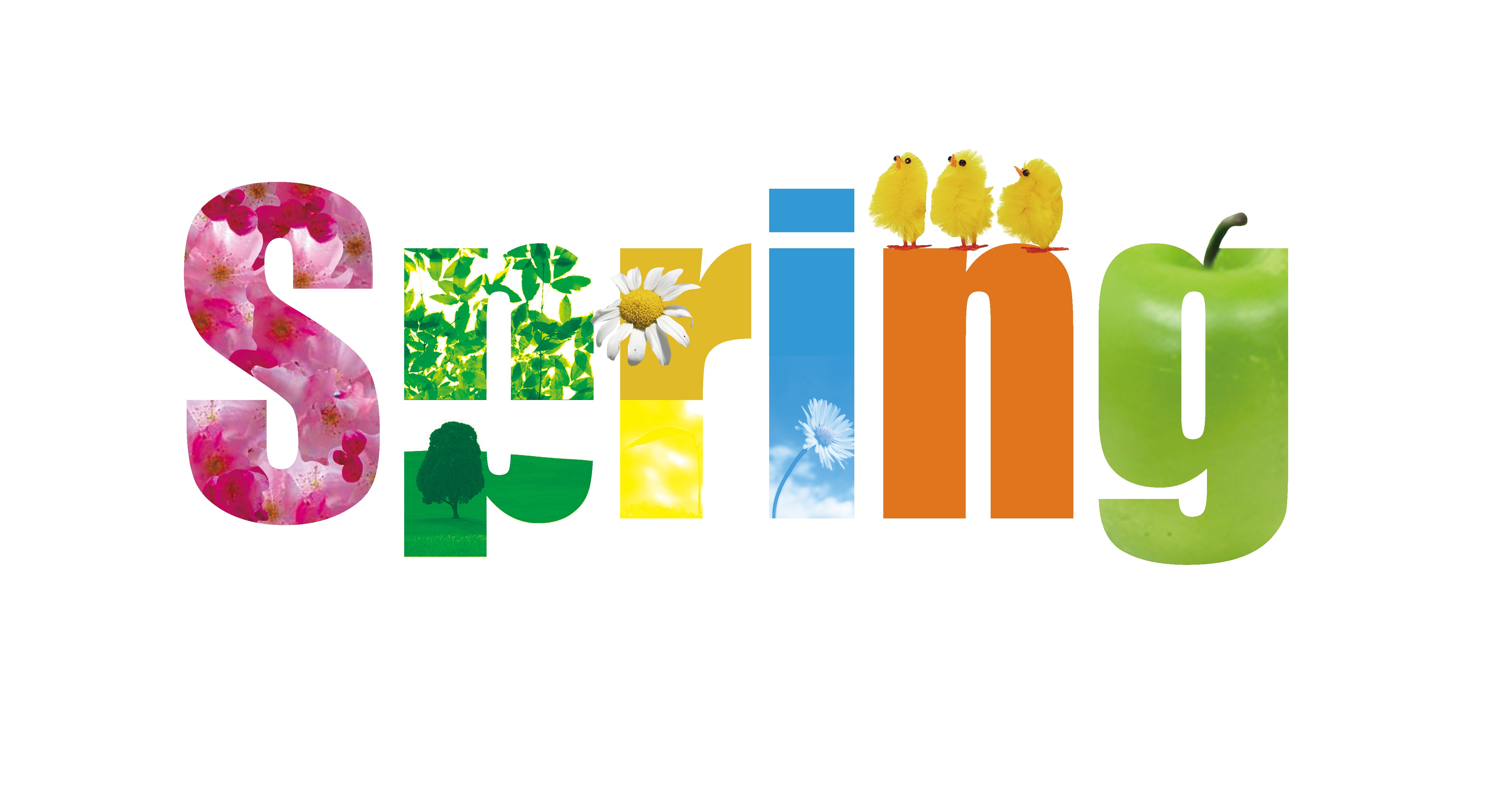 Spring word art with nature elements HD Wallpaper