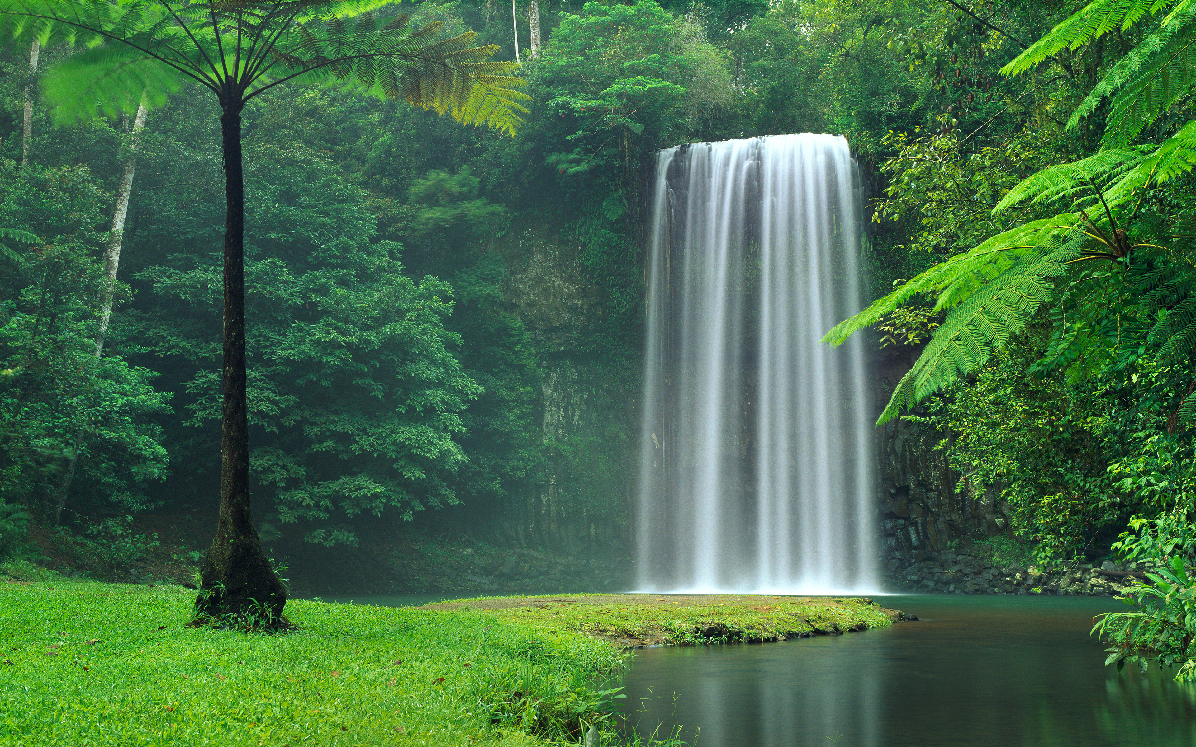 Millaa Millaa Falls, Queensland, Australia HD Wallpaper