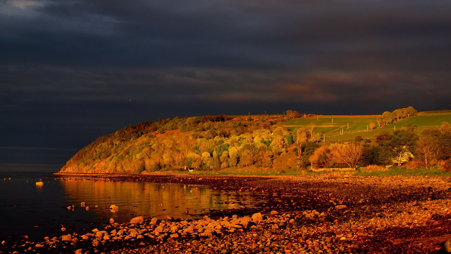 Hillside overlooking a rocky shore at sunset HD Wallpaper