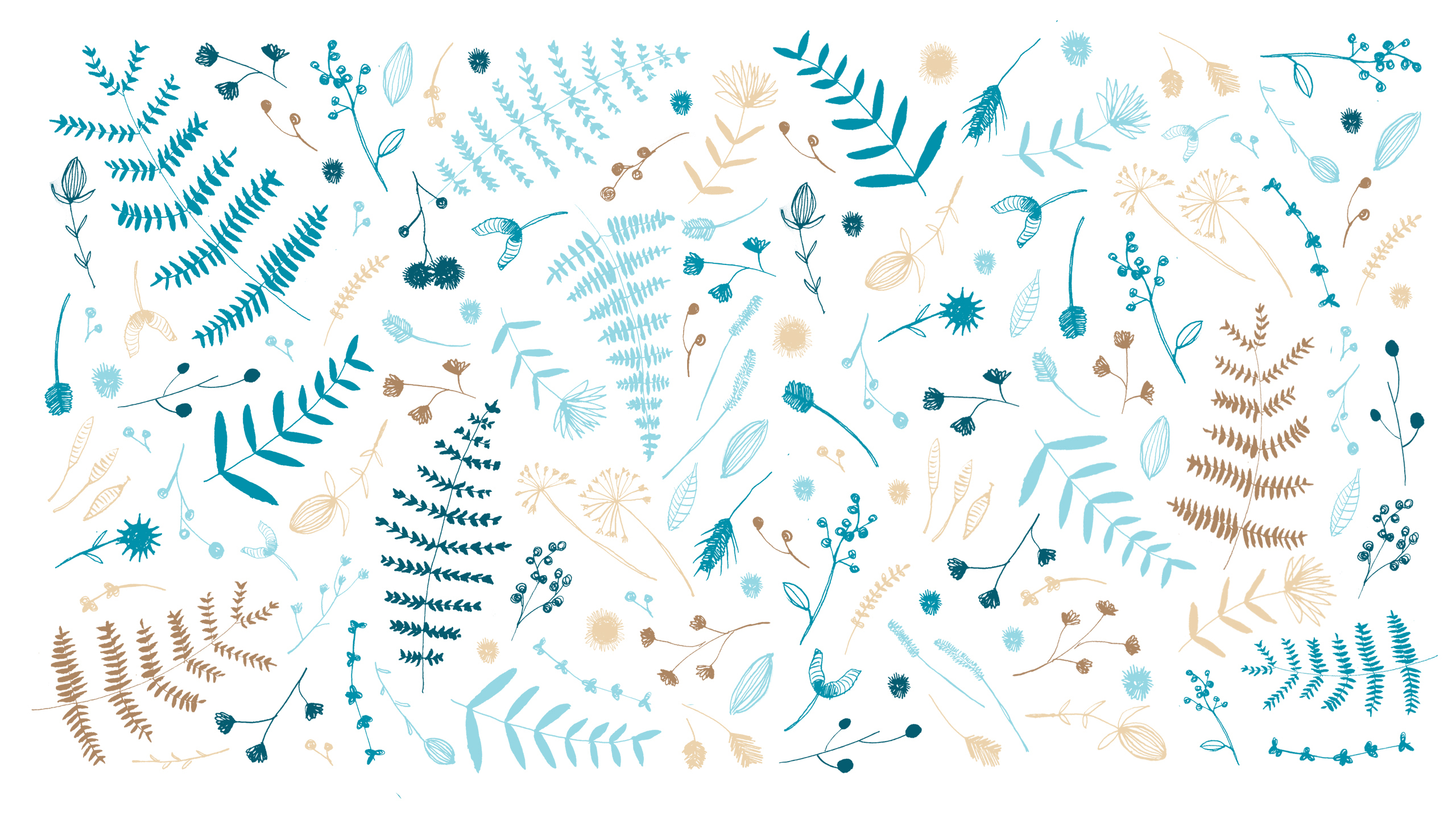 Minimalist botanical illustration of leaves and flowers HD Wallpaper