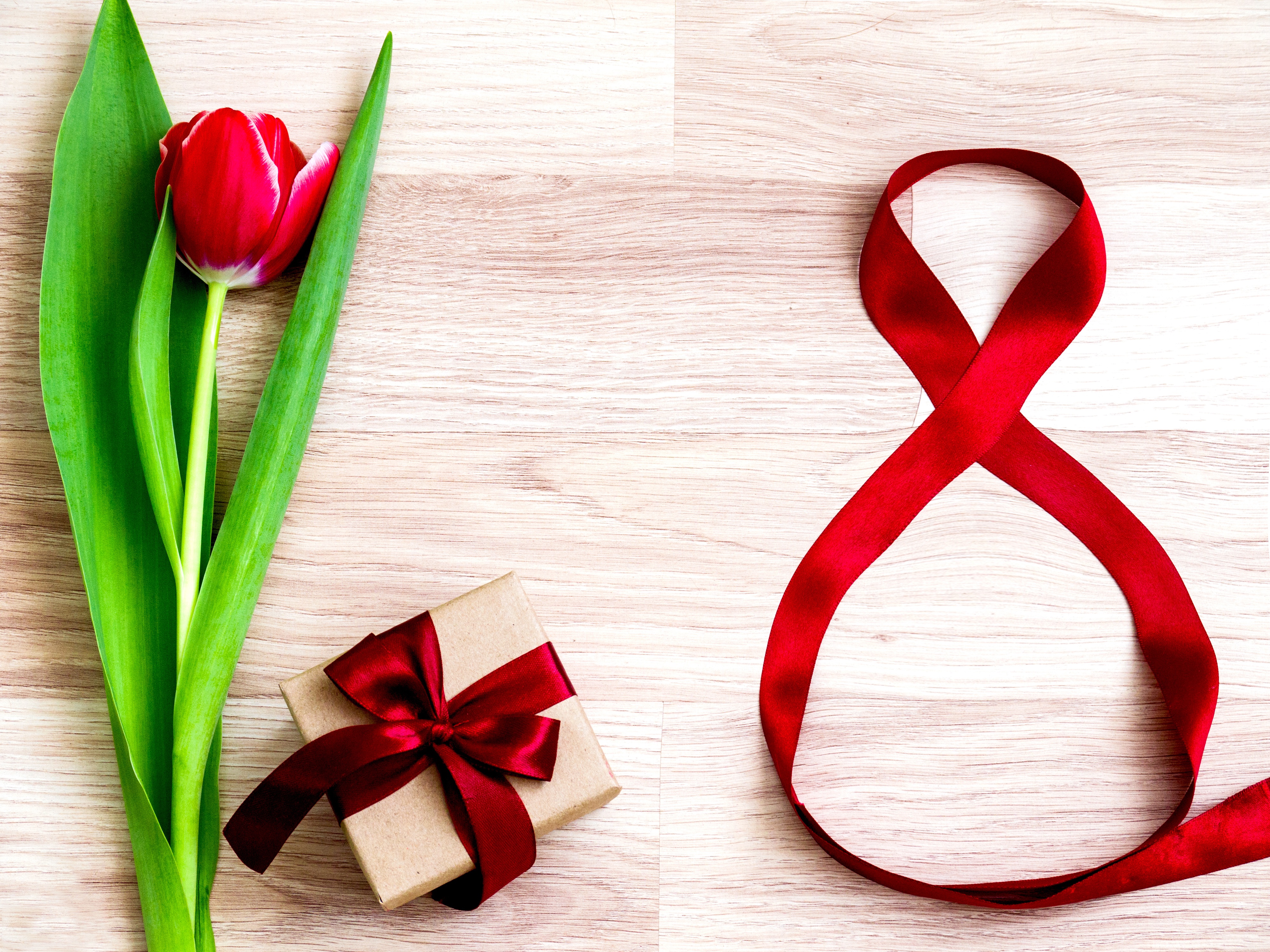 Red Tulip and Gift with Red Ribbon Shaped Like Number 8 HD Wallpaper