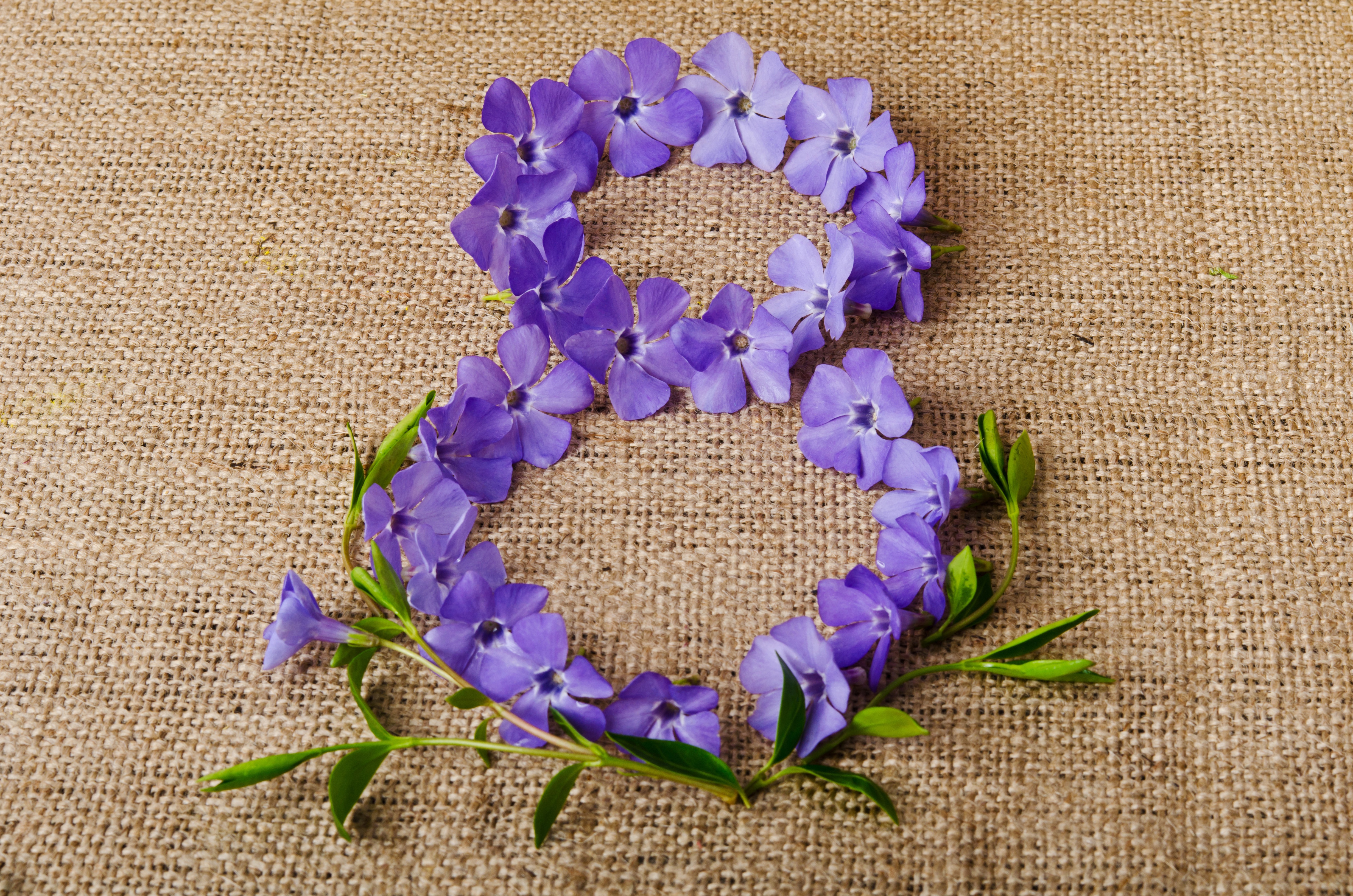 Number 8 made of purple flowers for Women's Day HD Wallpaper
