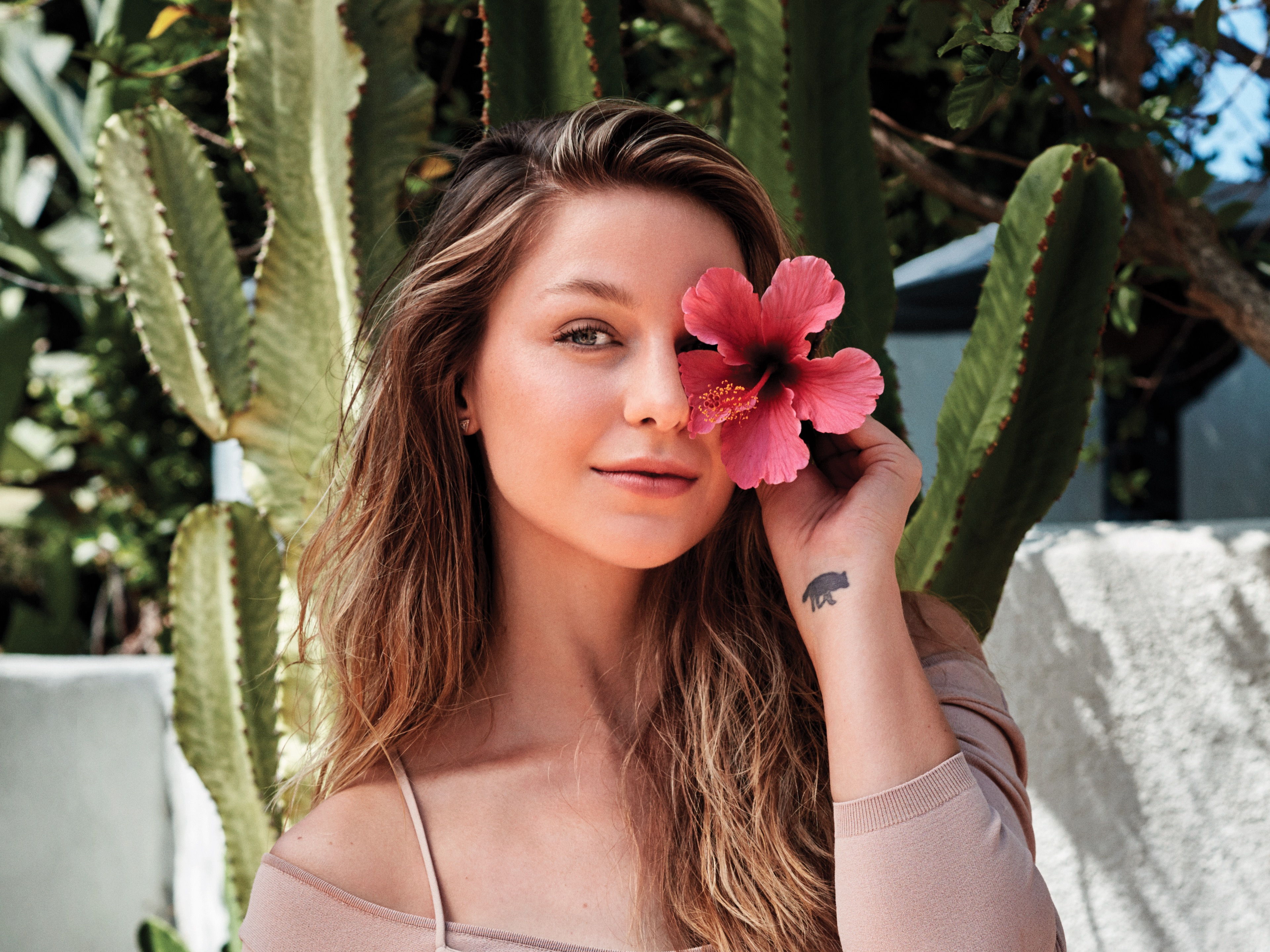 Melissa Benoist with a pink hibiscus flower HD Wallpaper