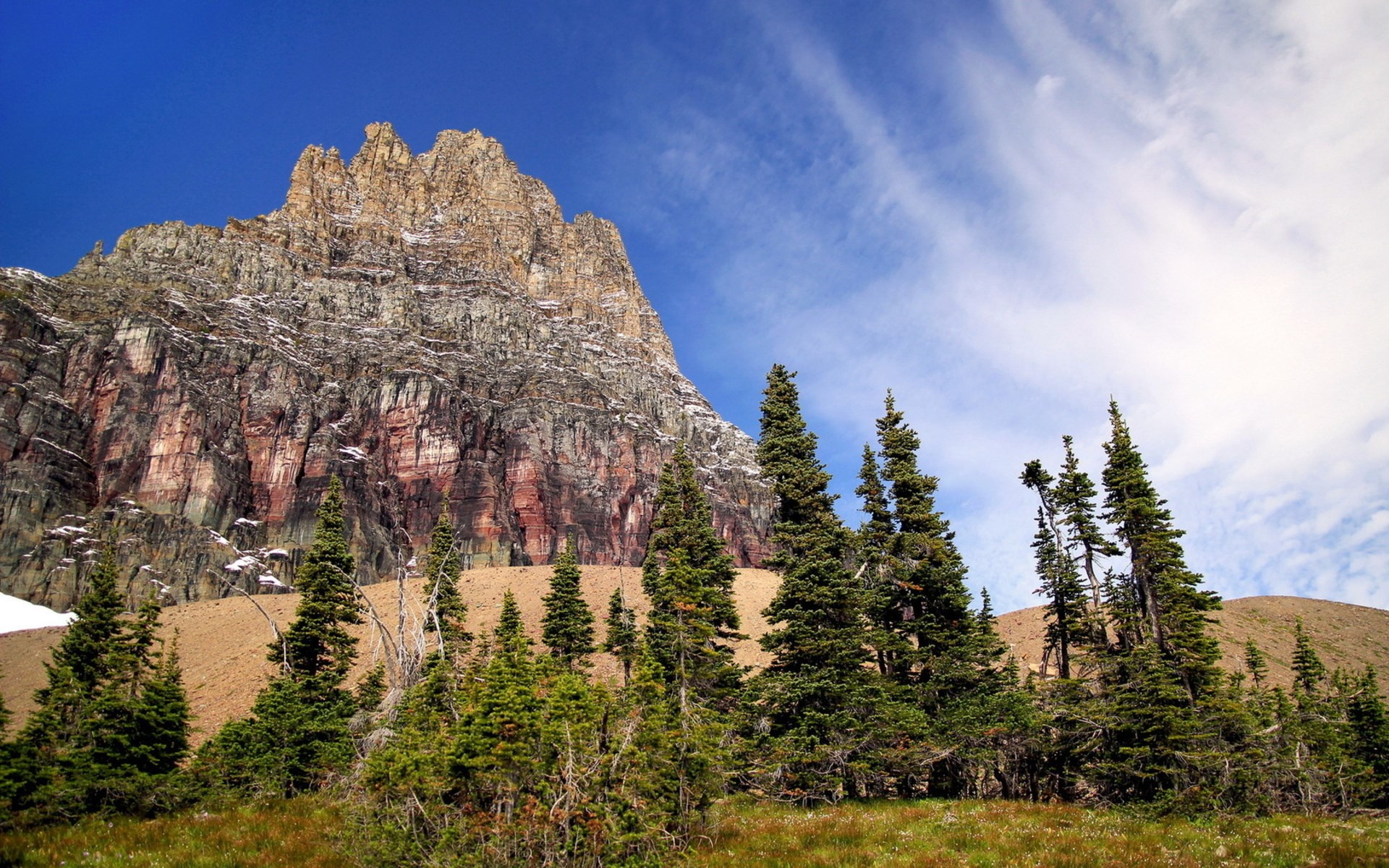 Mountain peak with pine trees and blue sky HD Wallpaper