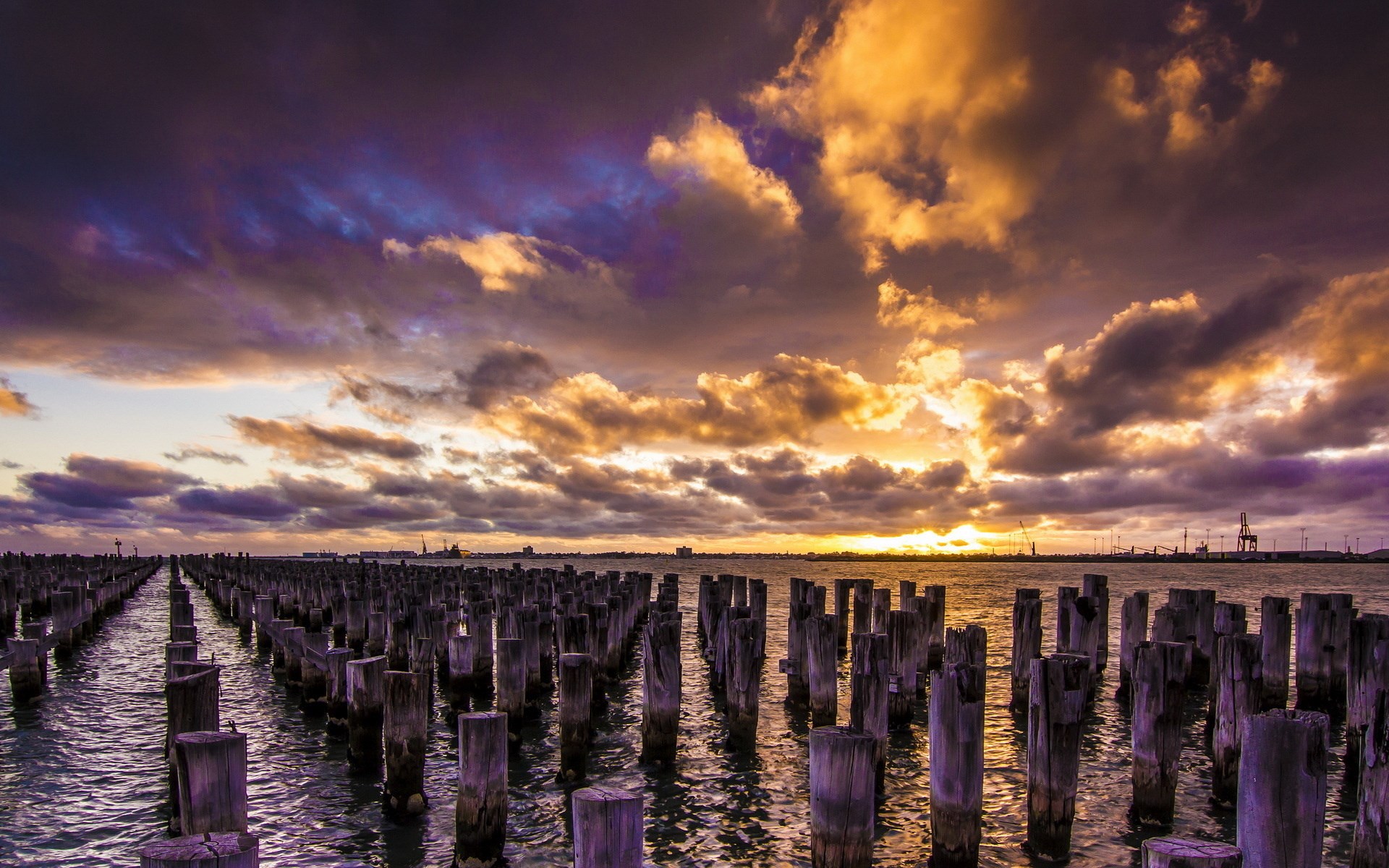 Wooden pilings in the water at sunset HD Wallpaper