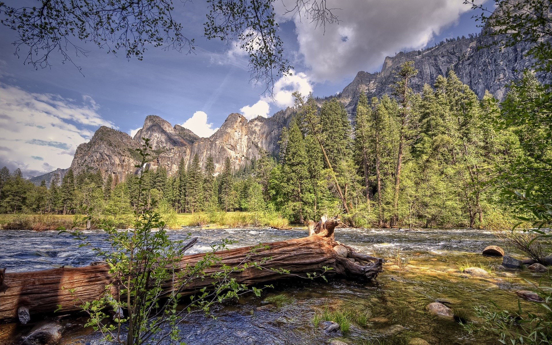 River flowing past trees and mountains HD Wallpaper