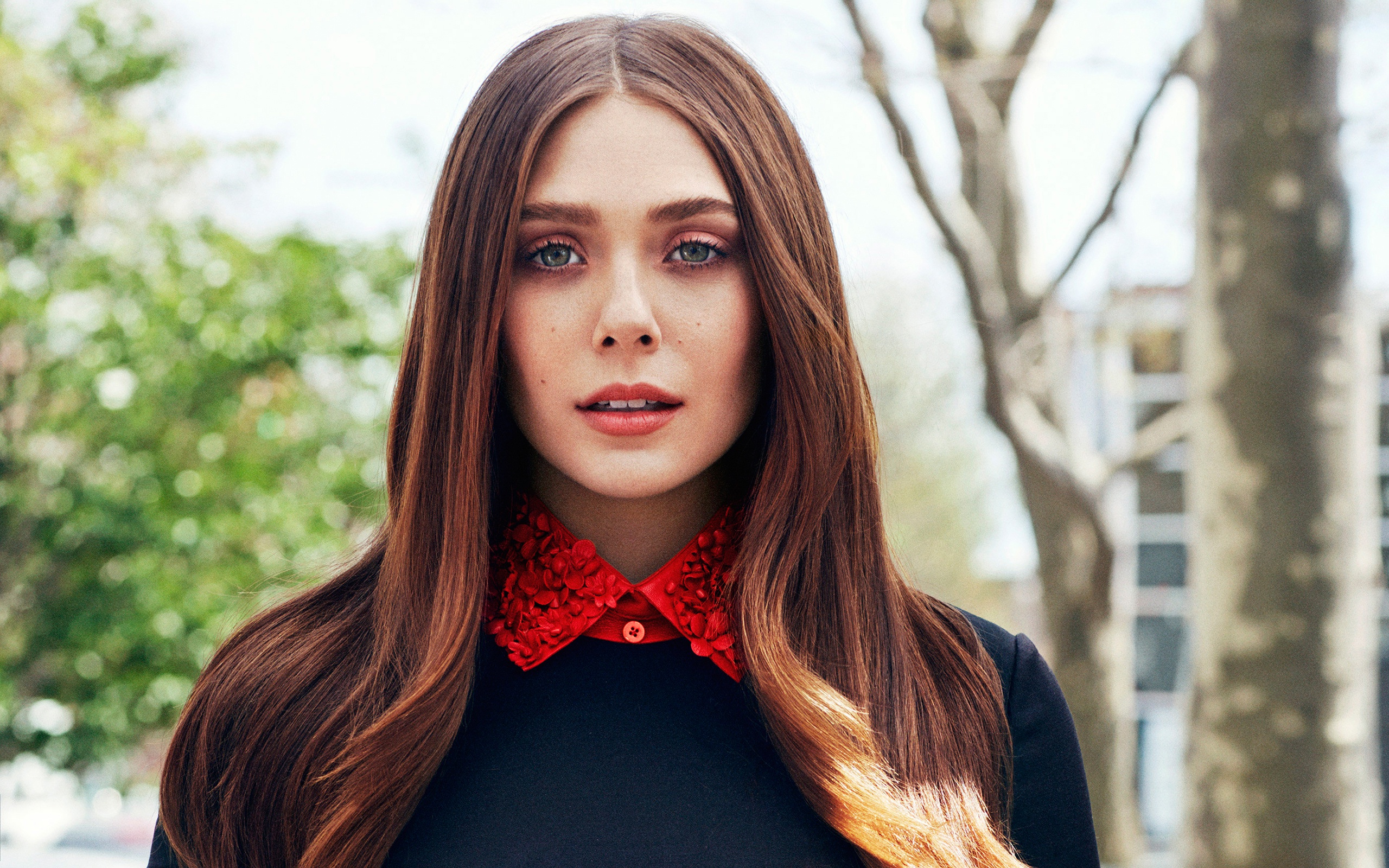 Elizabeth Olsen HD Wallpaper