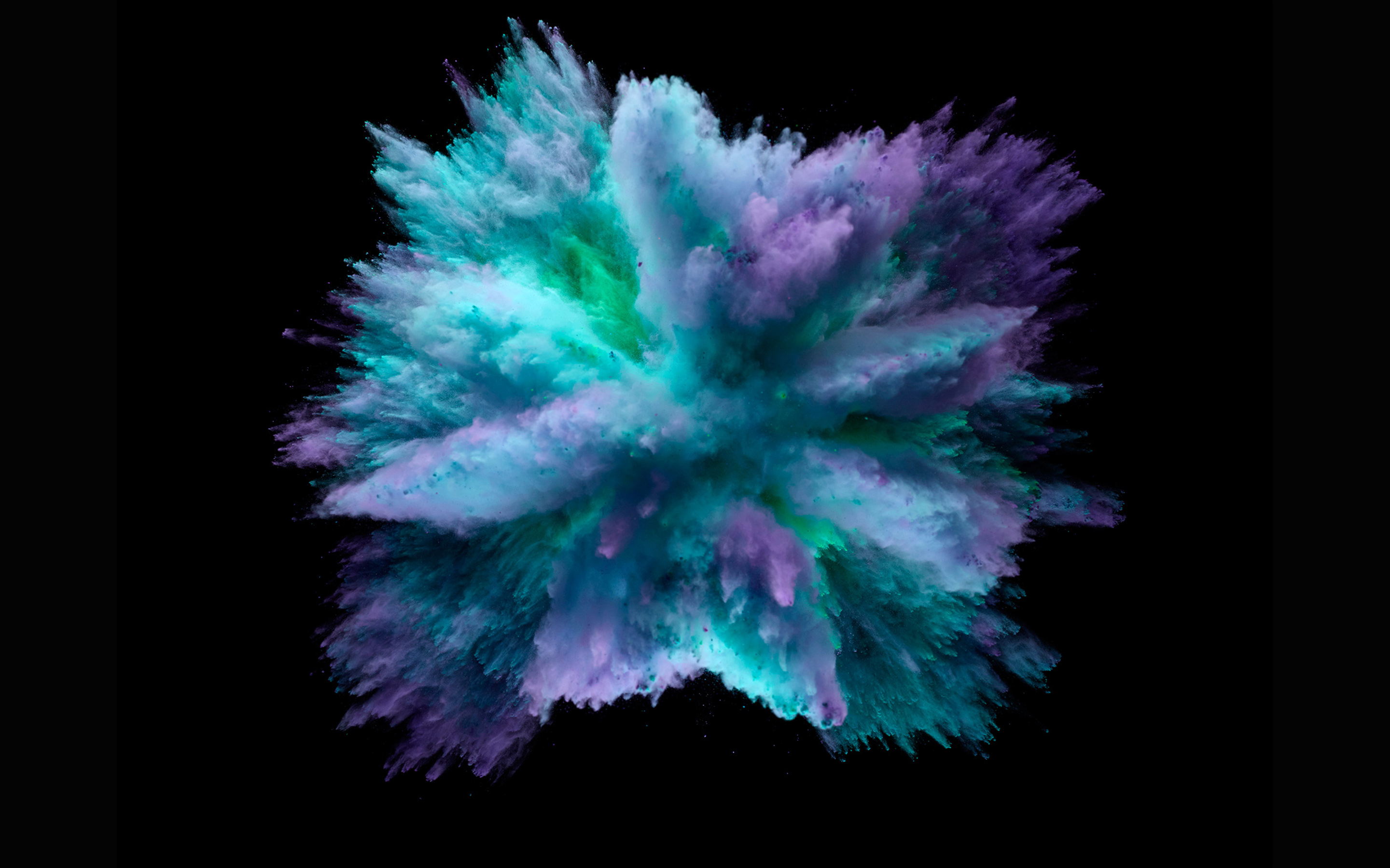 Explosion of colorful powder on black background HD Wallpaper