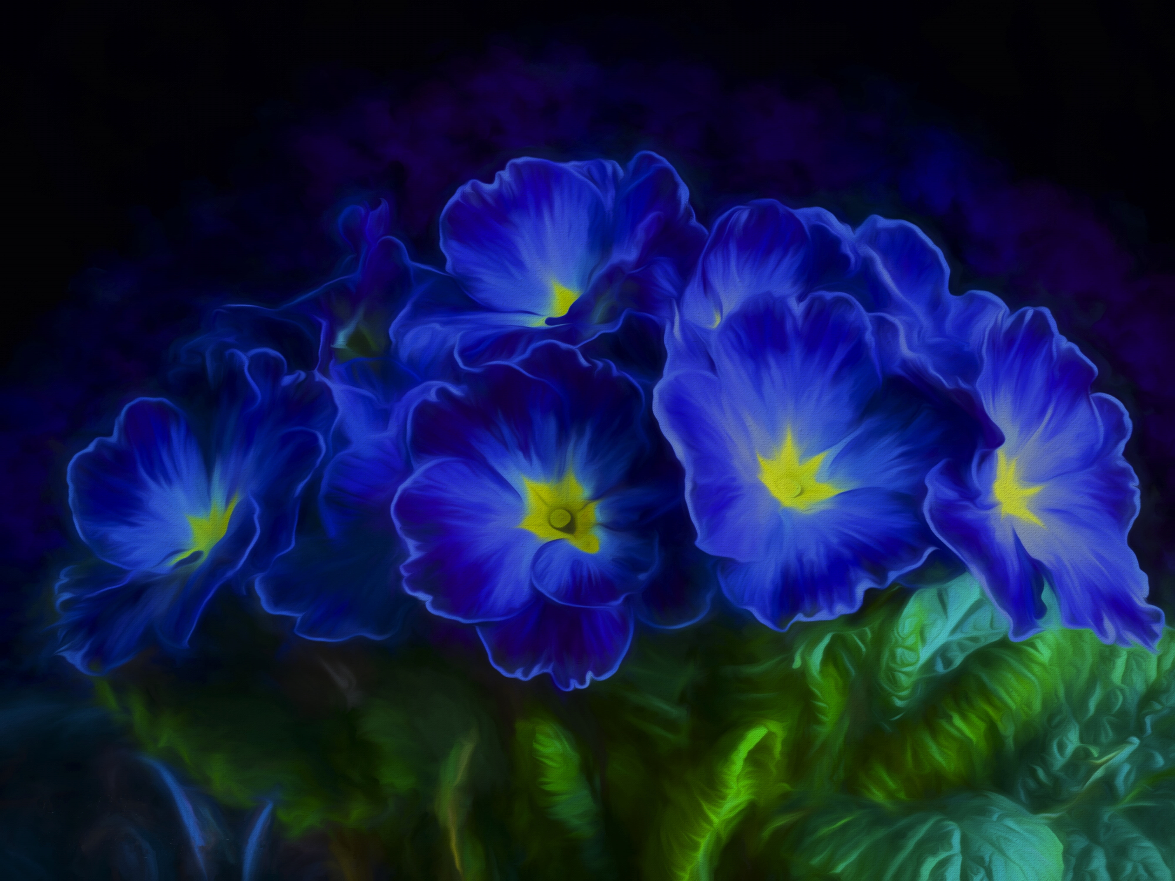 Primrose Blue flowers, 4K HD Wallpaper