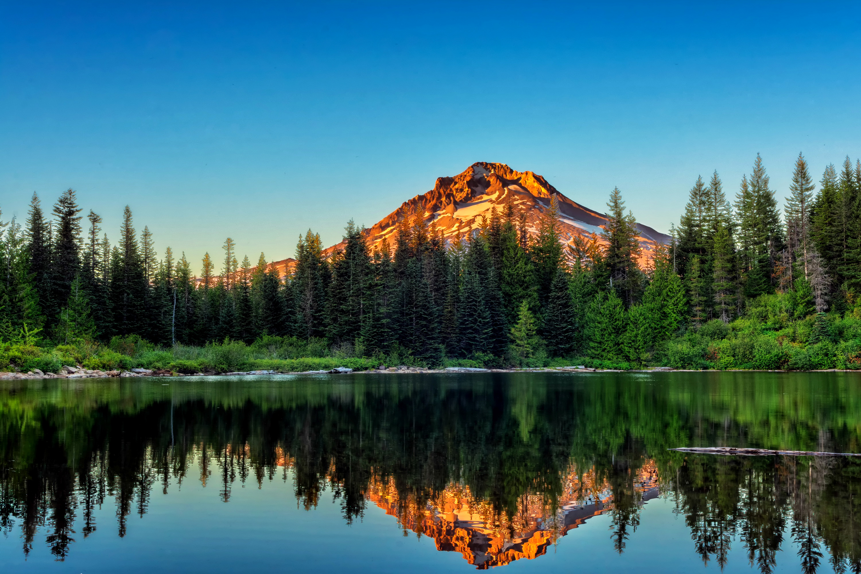 Mountain reflected in lake with pine trees HD Wallpaper