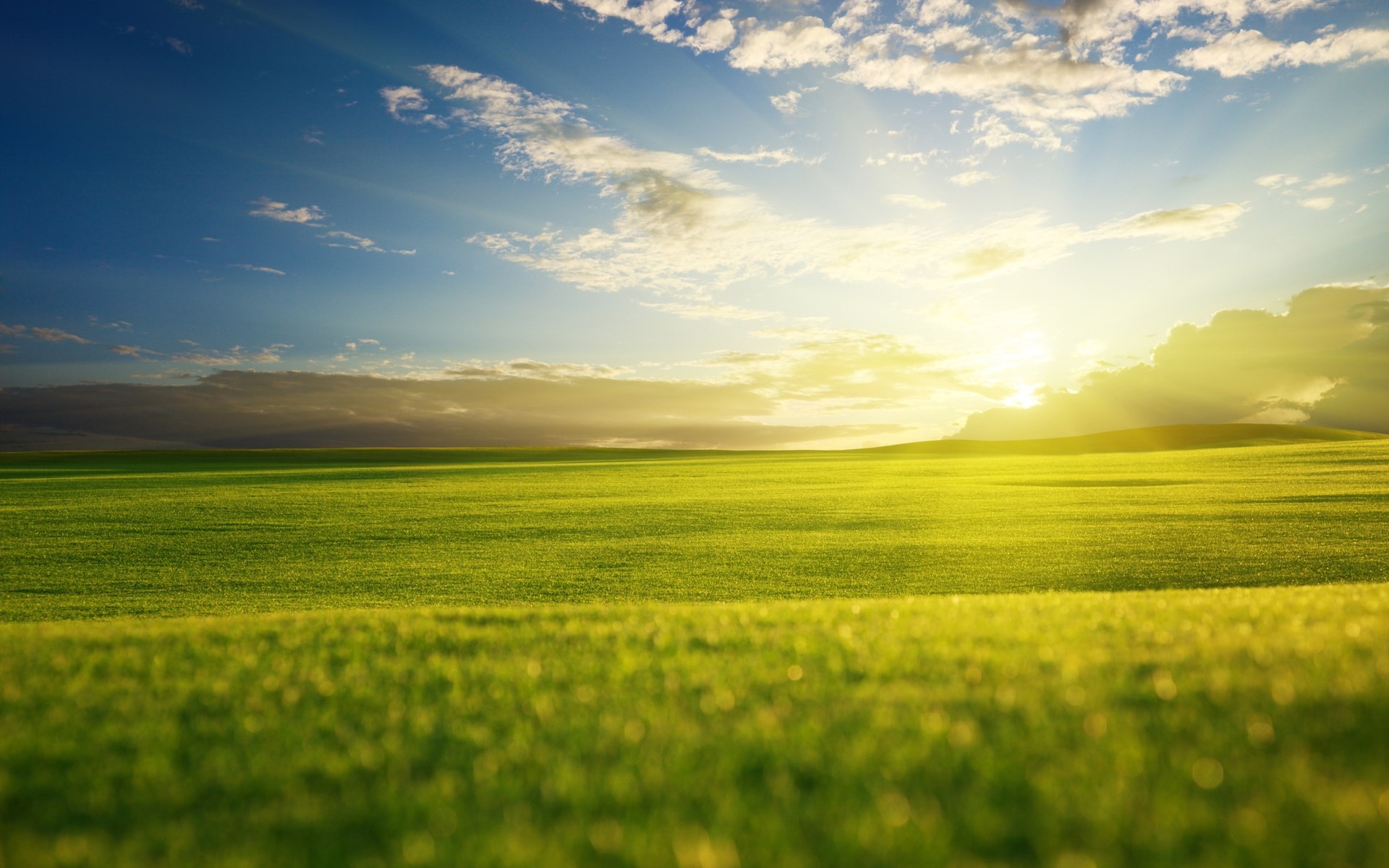 Green rolling hills under a bright sky with sun rays HD Wallpaper