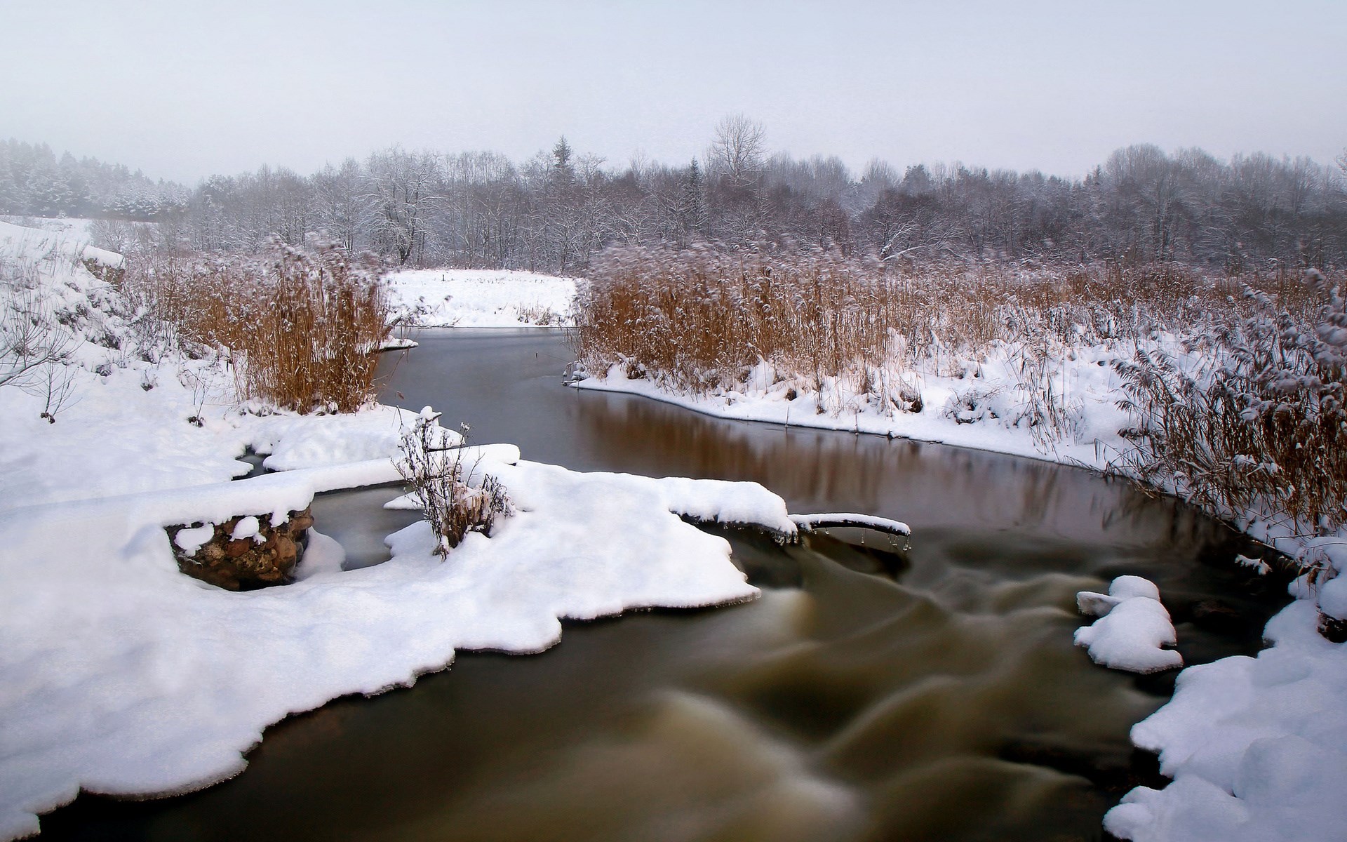 Winter river with snow and reeds HD Wallpaper